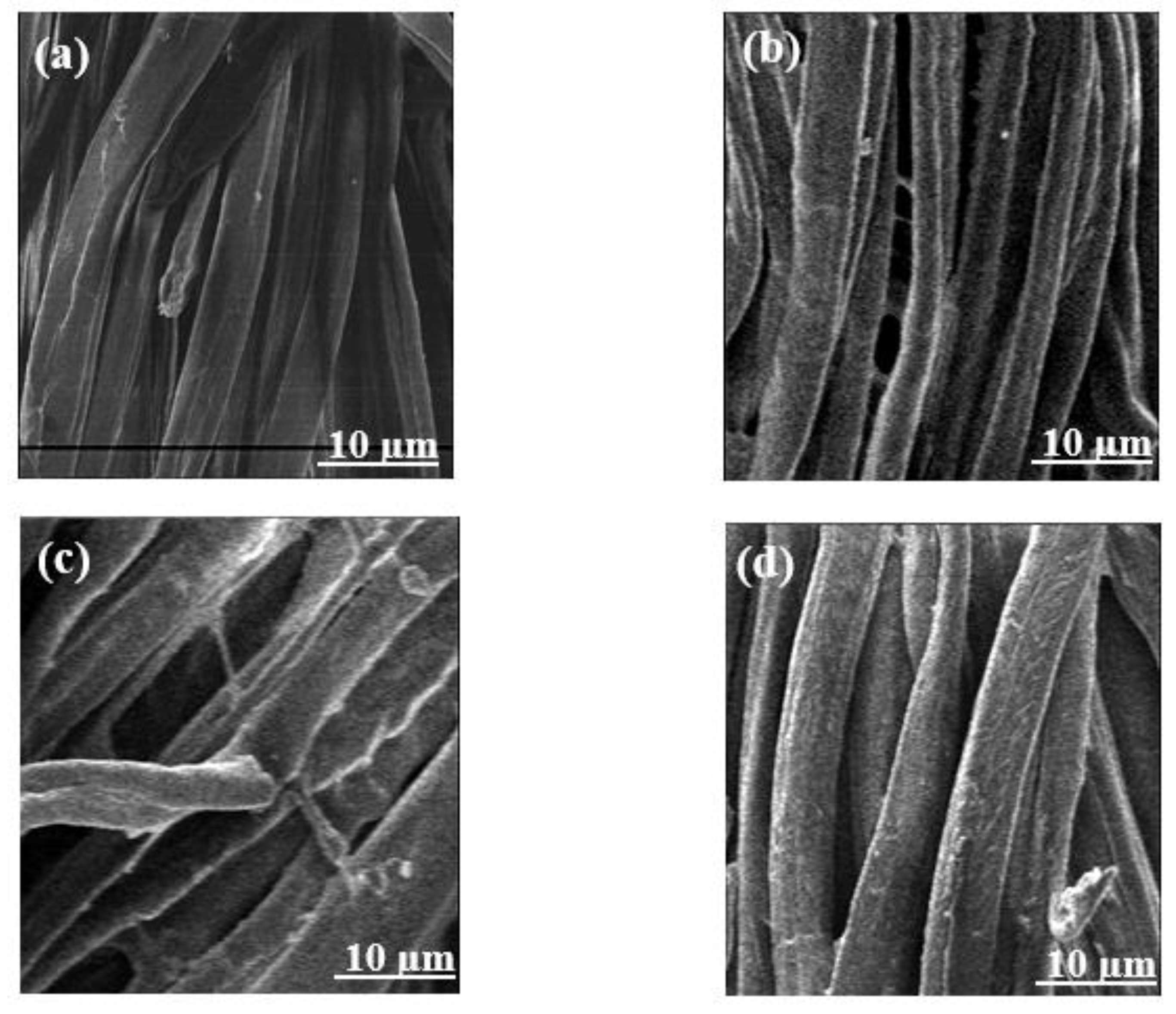 Polymers 16 00445 g002
