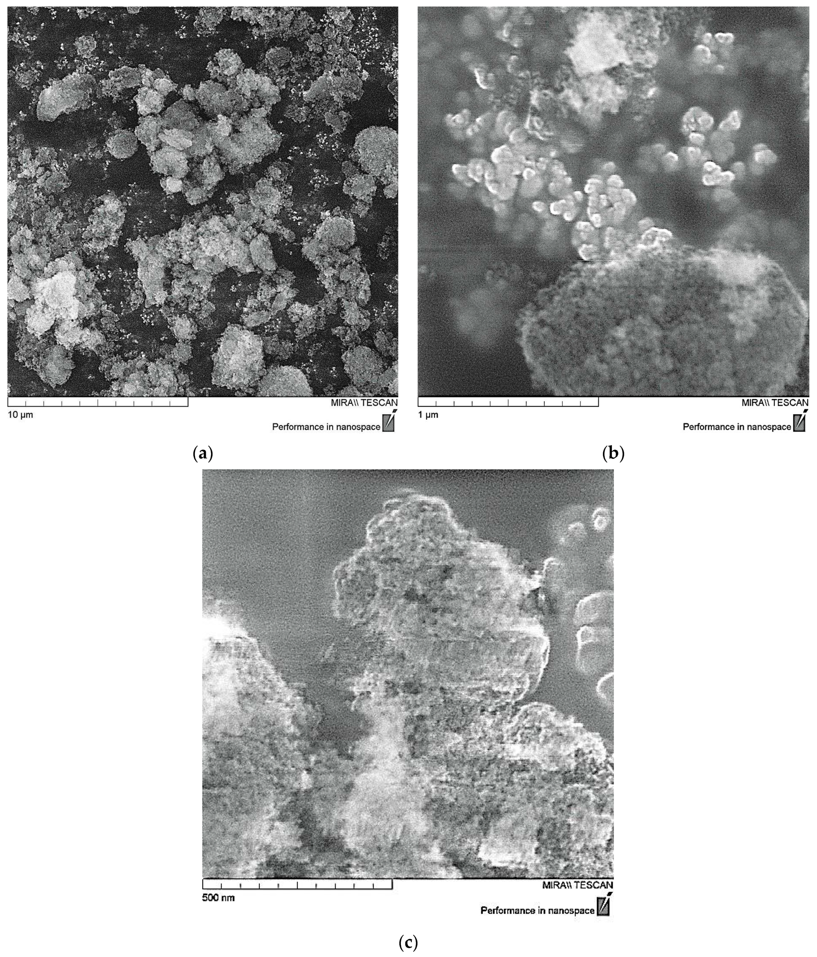 Polymers 16 00449 g001