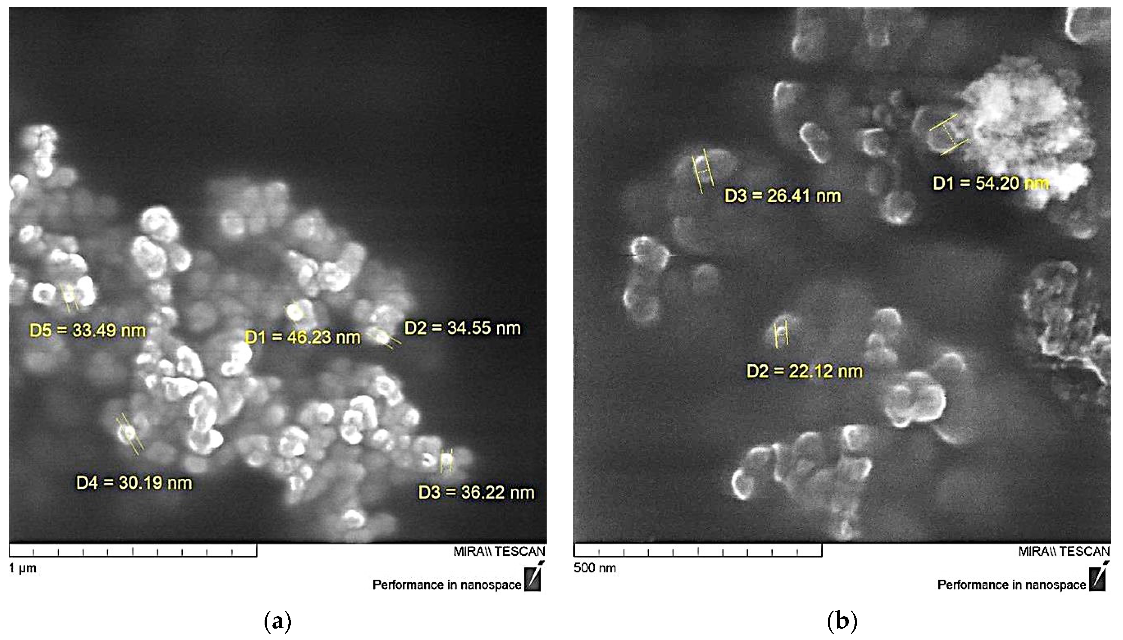 Polymers 16 00449 g008