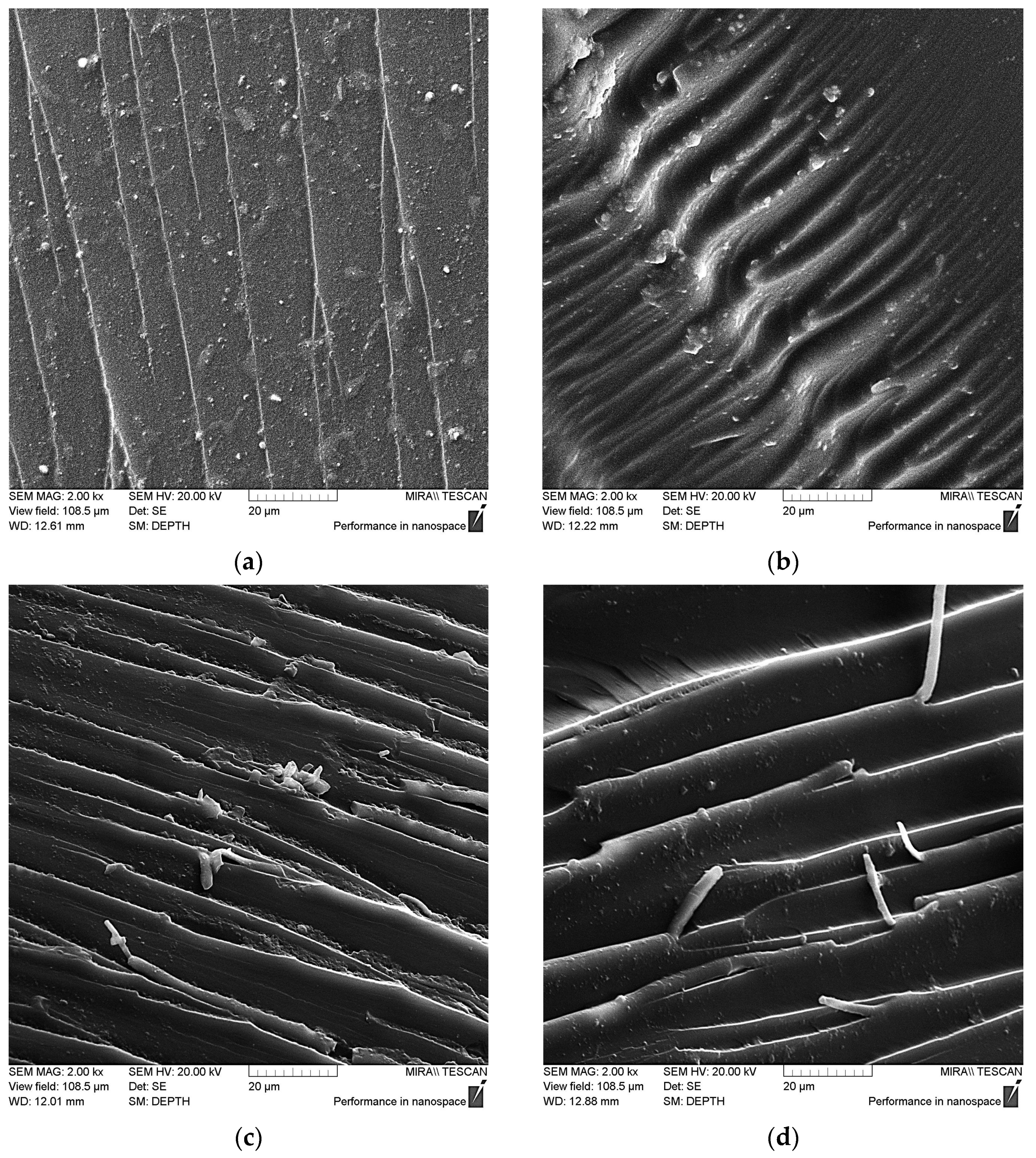 Polymers 16 00449 g013