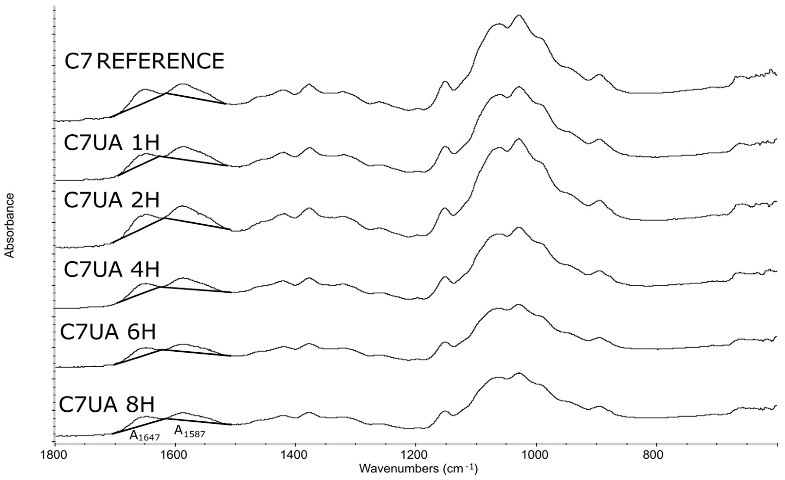 Polymers 16 00461 g001