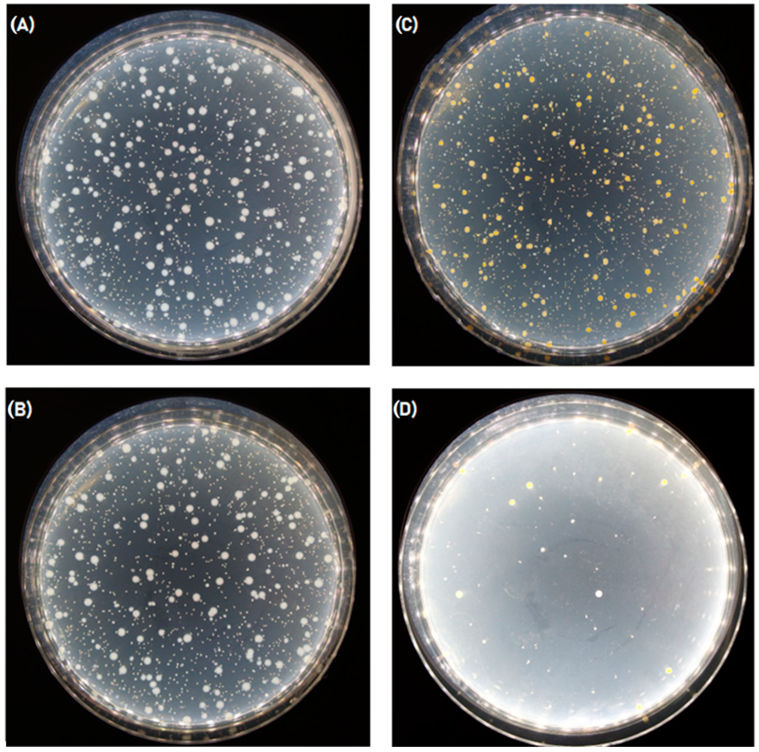 Polymers 16 00461 g007