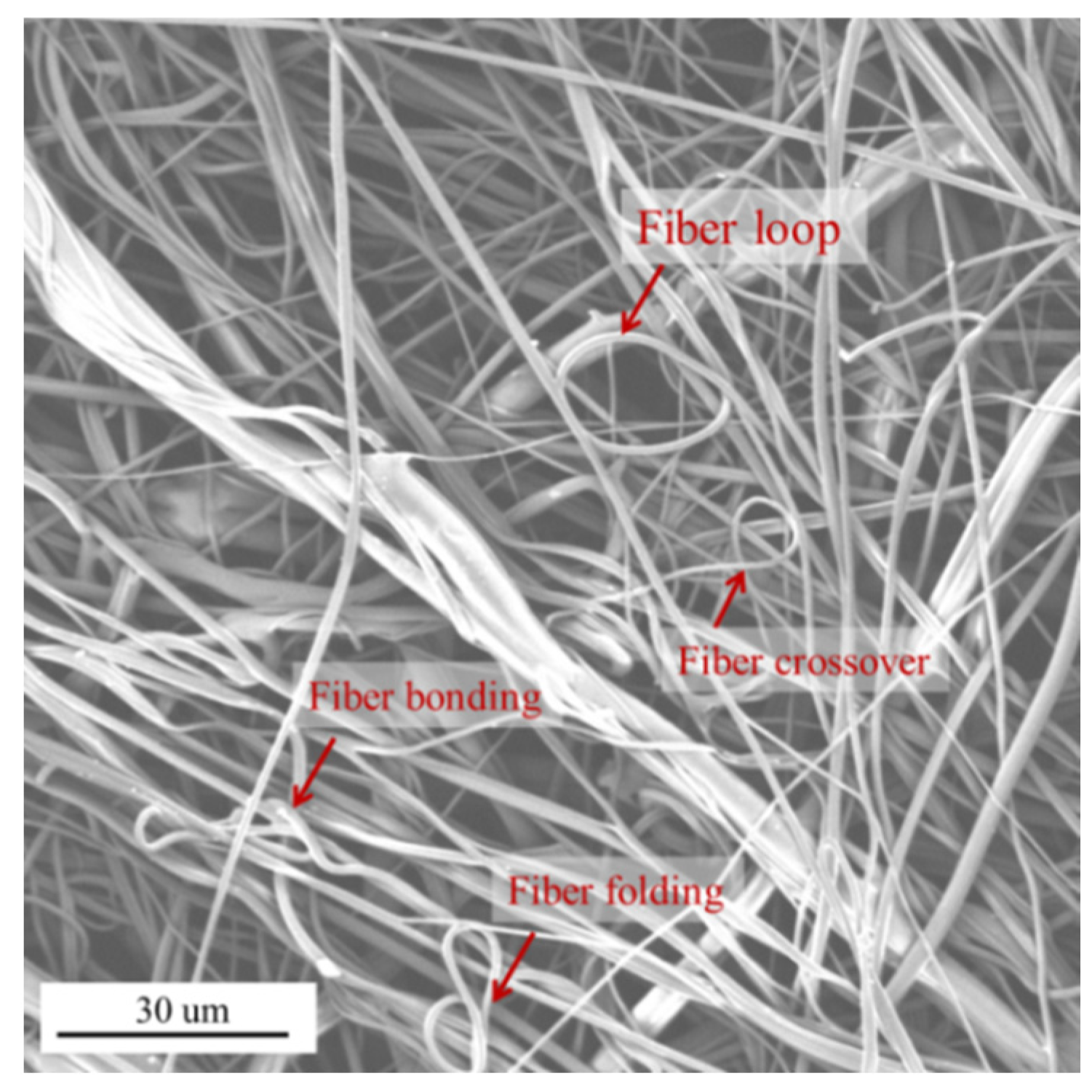 Polymers 16 00469 g013 Polymers 16 00469 g013
