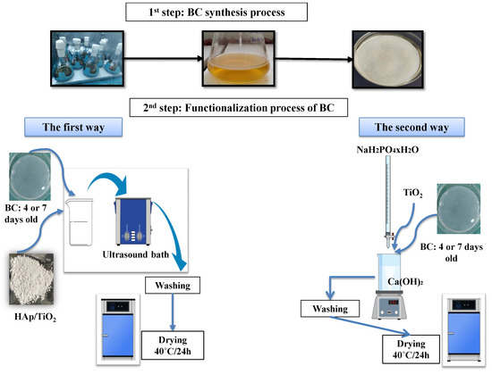 Polymers 16 00470 g001