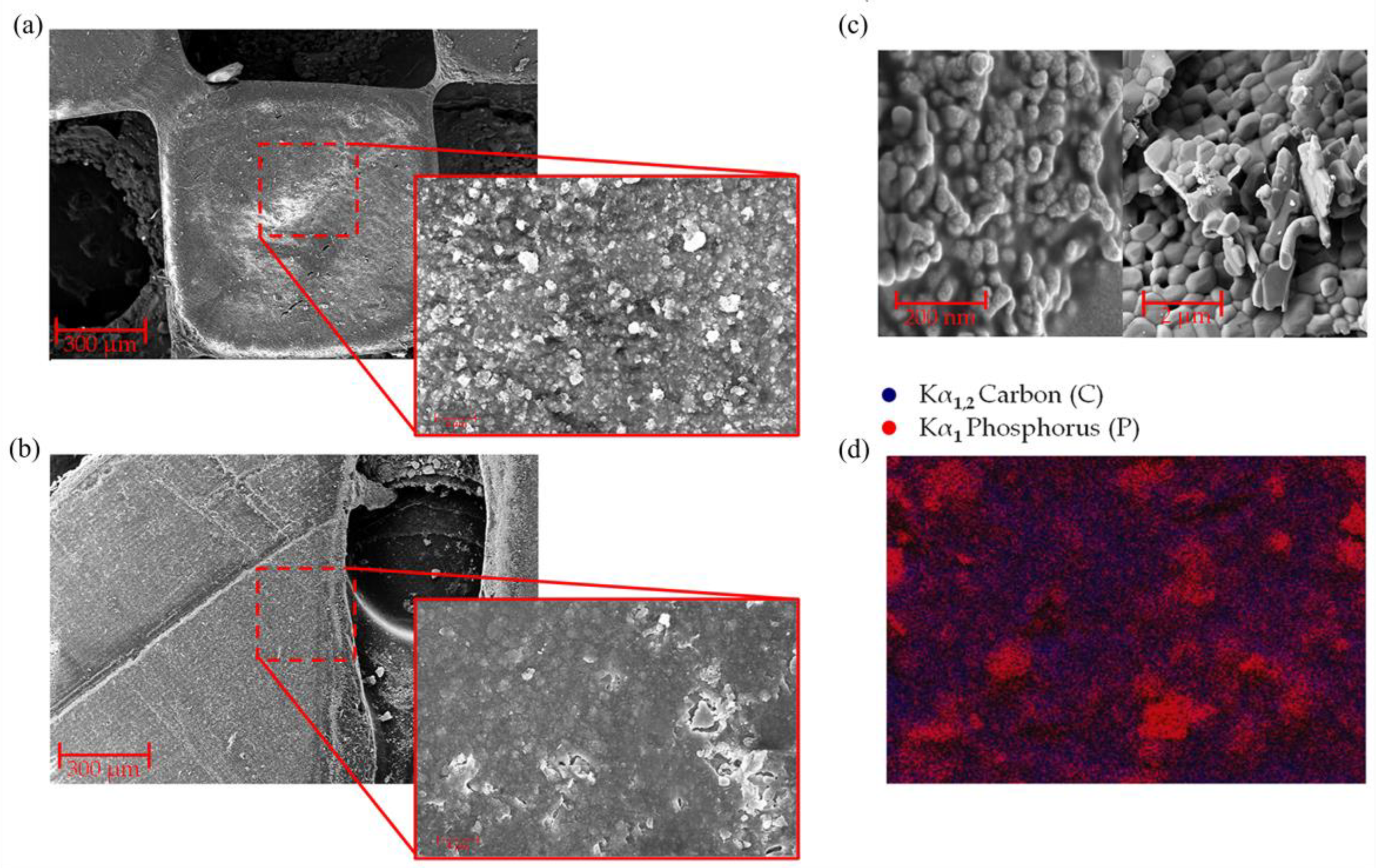 Polymers 16 00472 g003