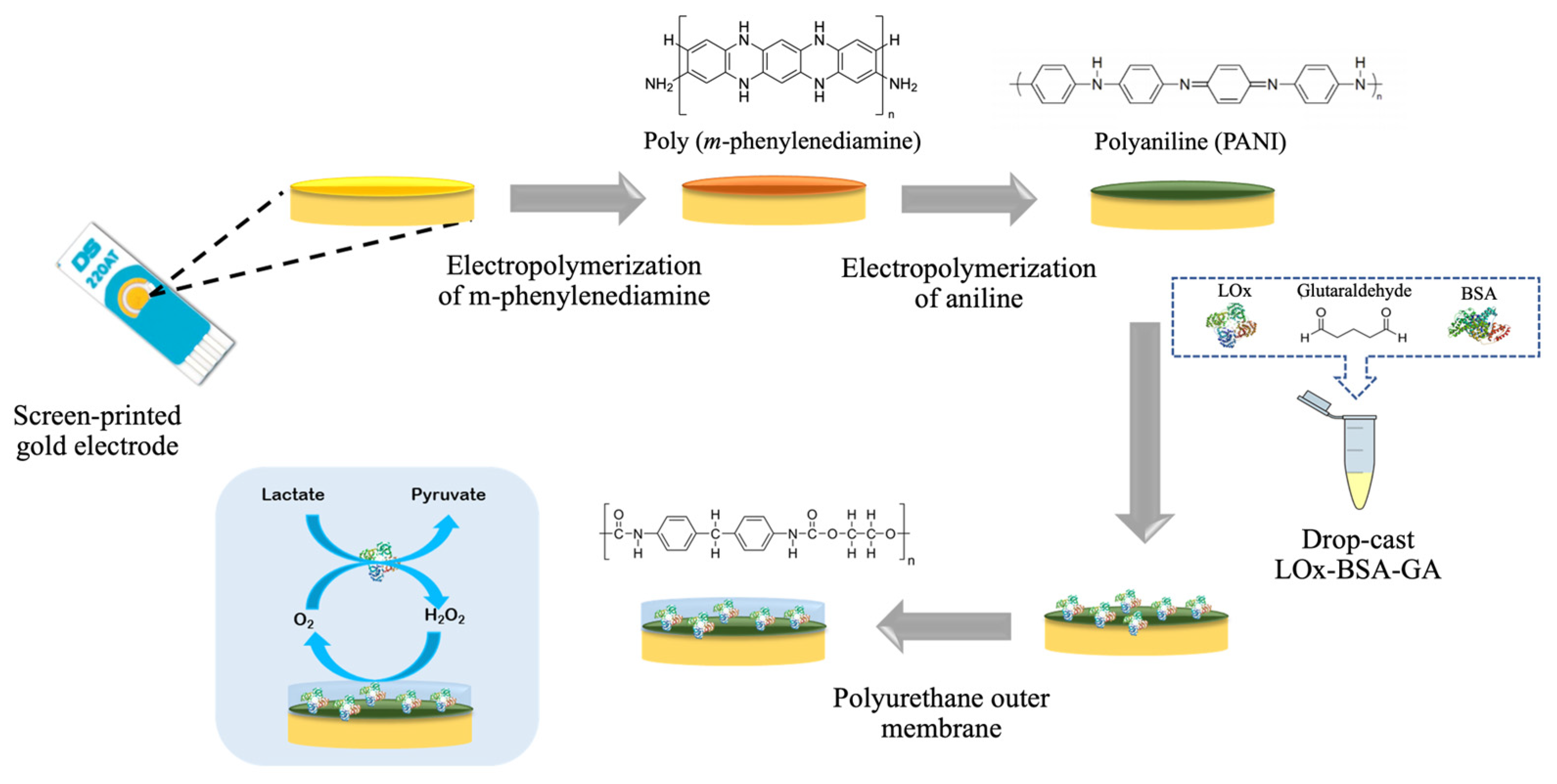 Polymers 16 00473 g001