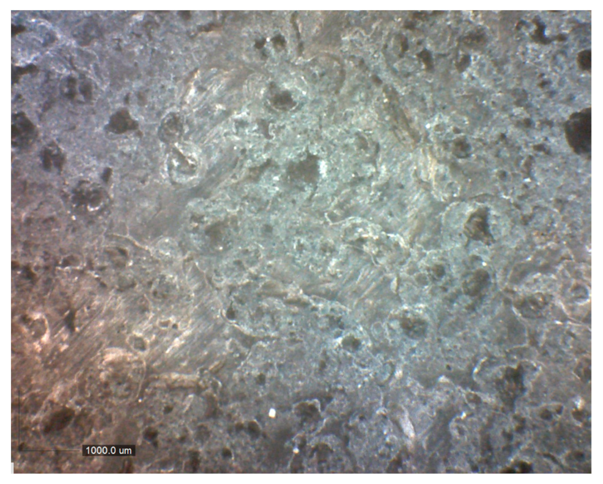 Polymers 16 00489 g001 Polymers 16 00489 g001