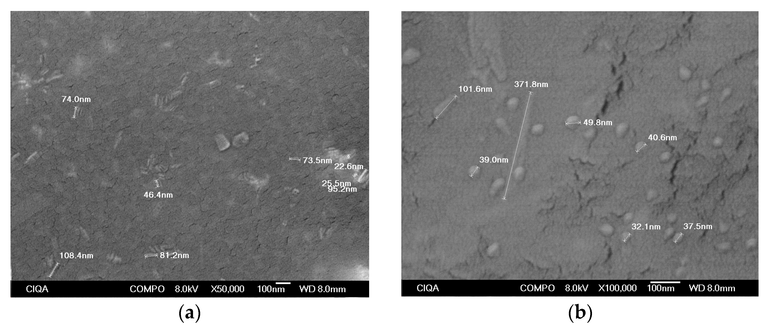 Polymers 16 00489 g006 Polymers 16 00489 g006