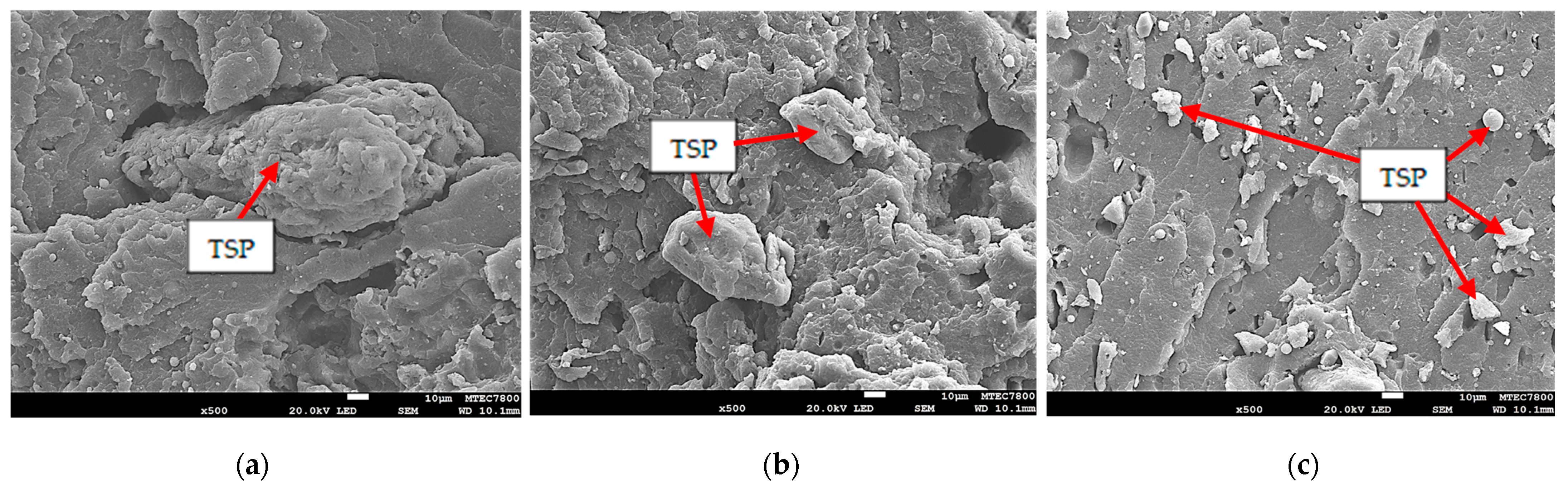 Polymers 16 00493 g006 Polymers 16 00493 g006