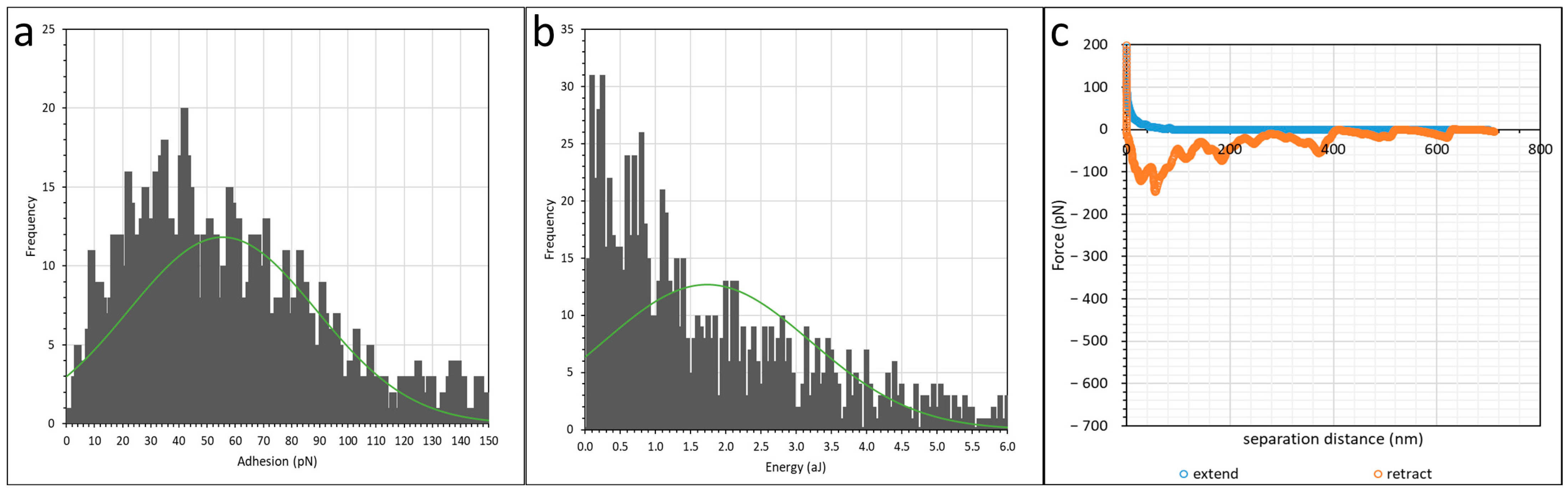 Polymers 16 00494 g005