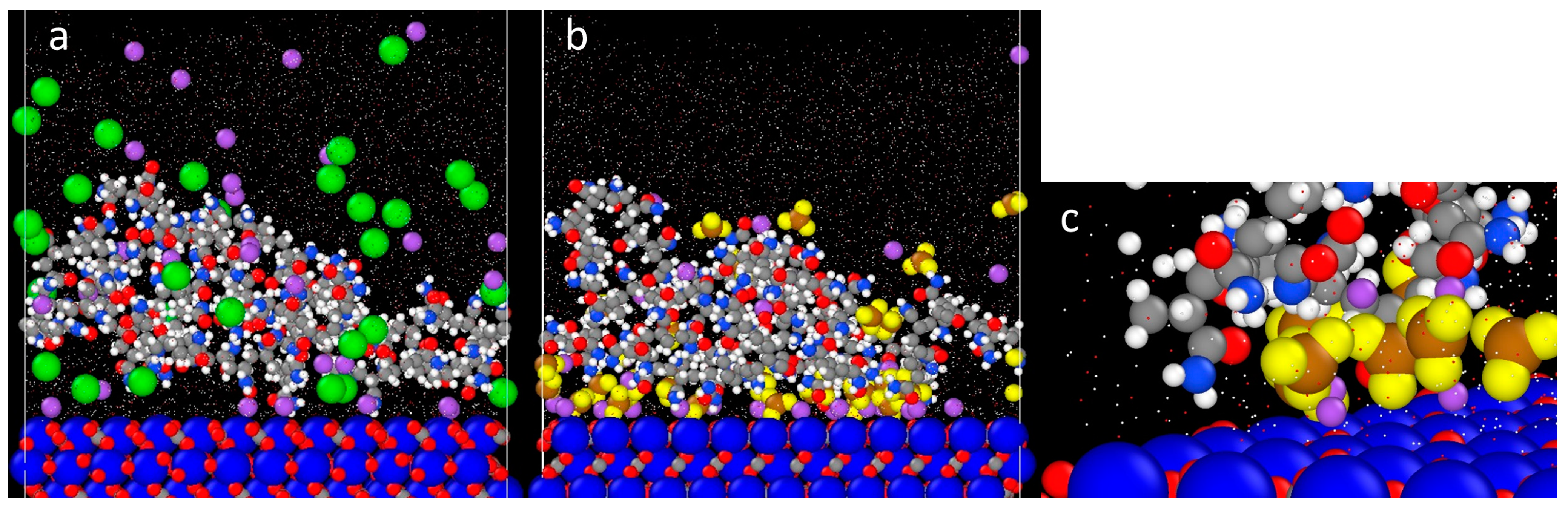 Polymers 16 00494 g007