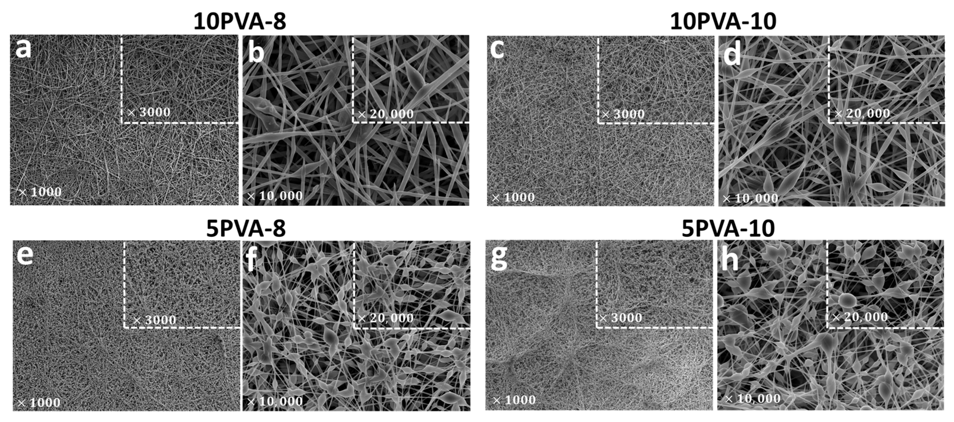 Polymers 16 00497 g004