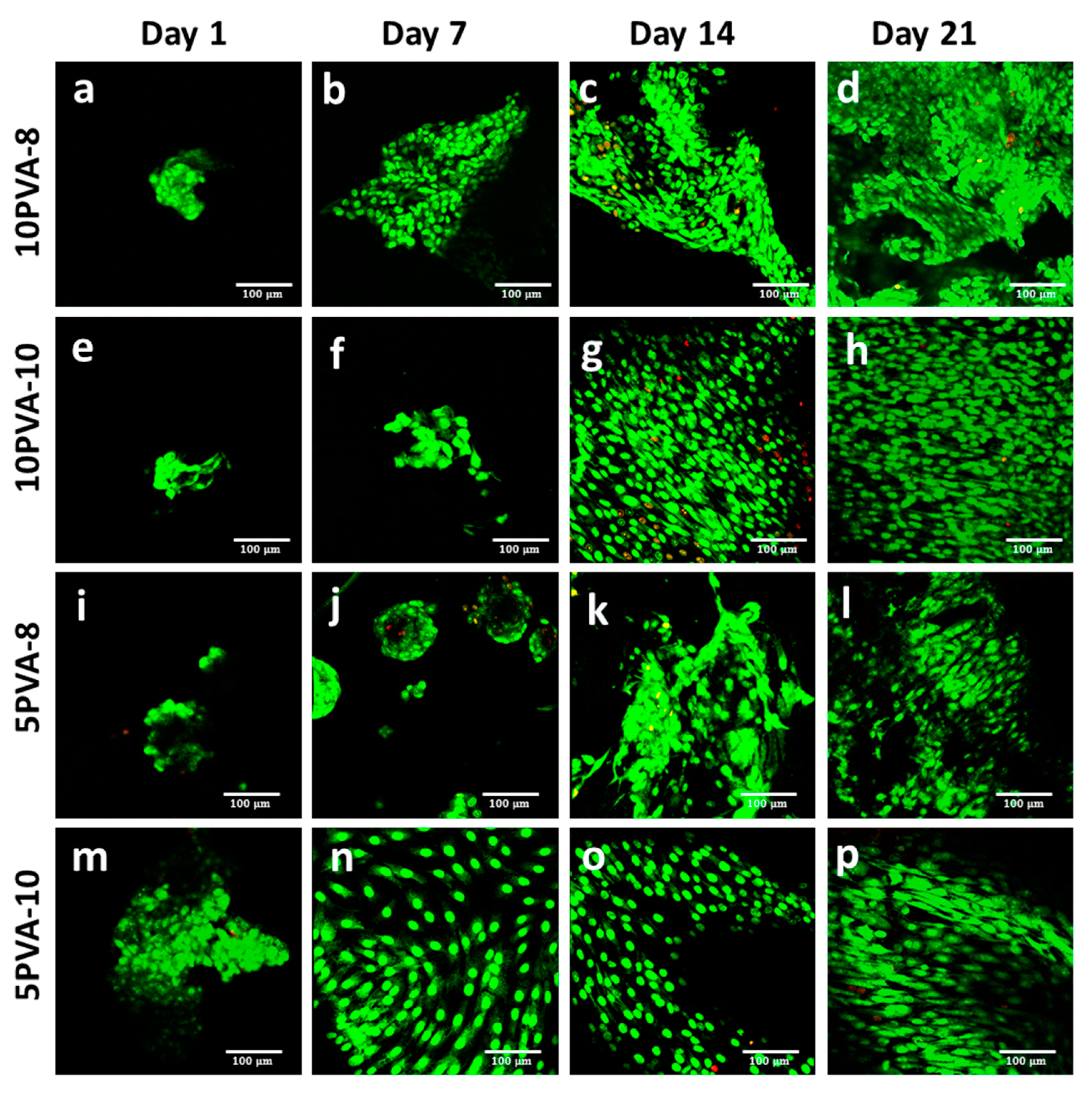 Polymers 16 00497 g006