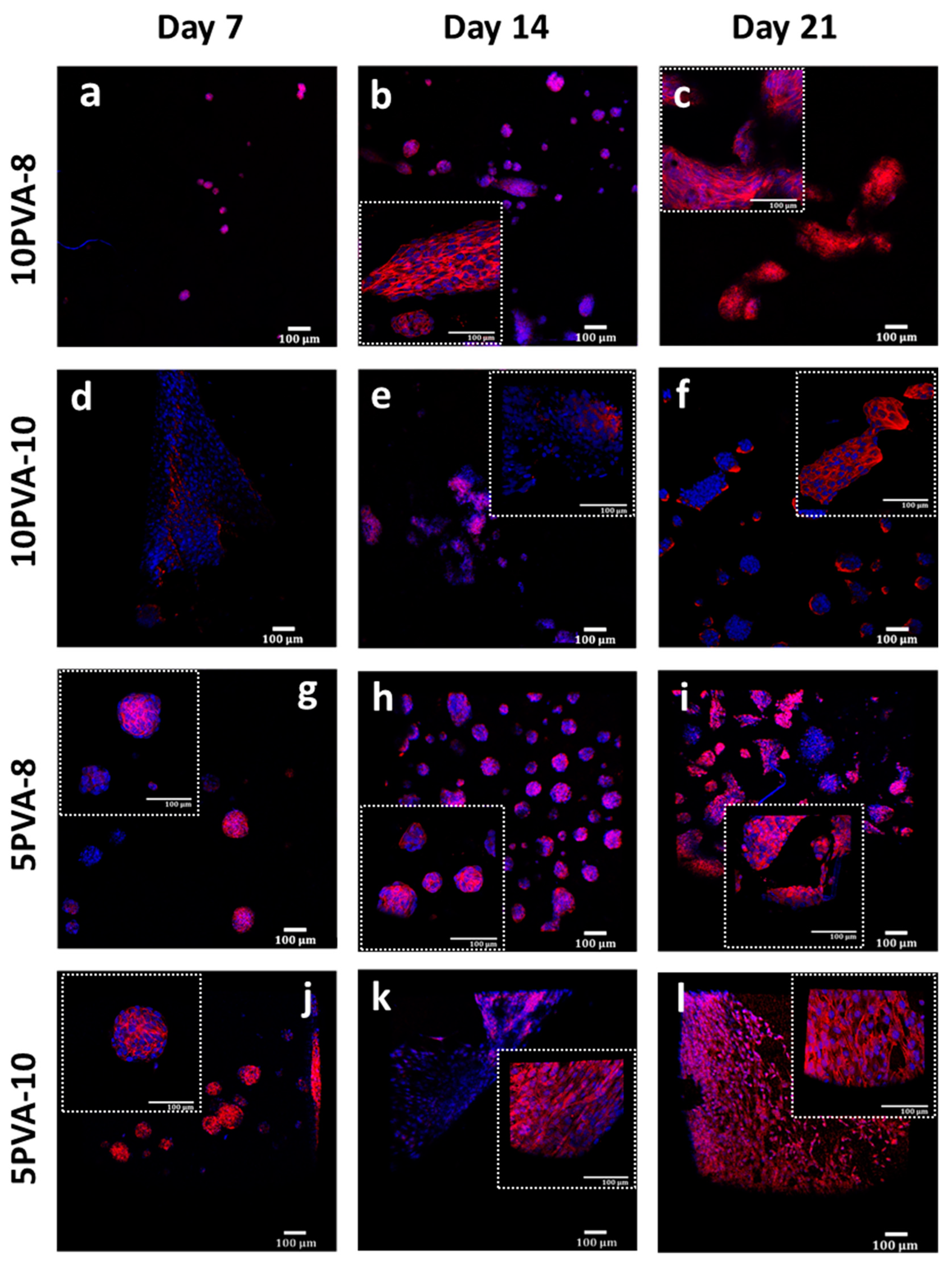 Polymers 16 00497 g007