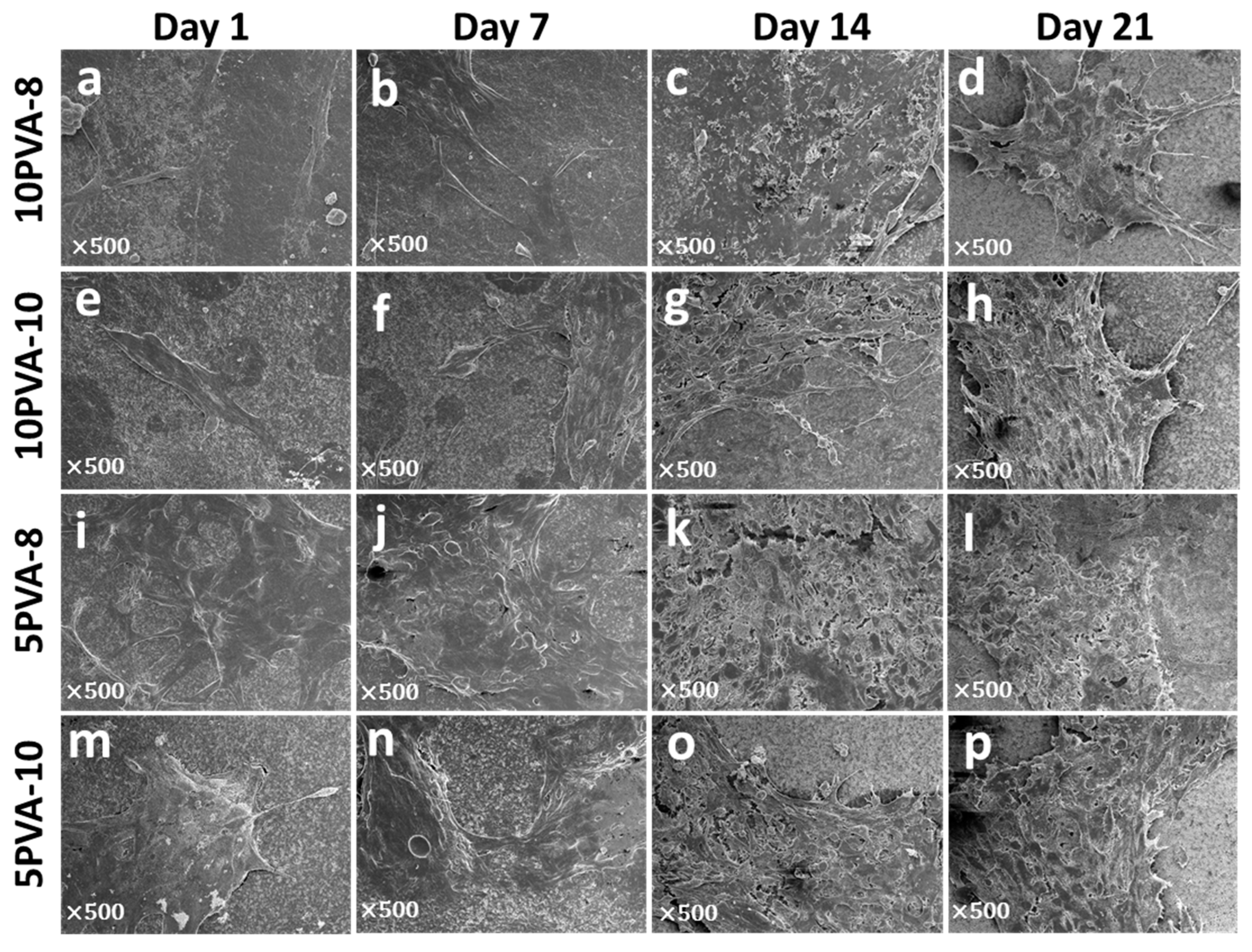 Polymers 16 00497 g008