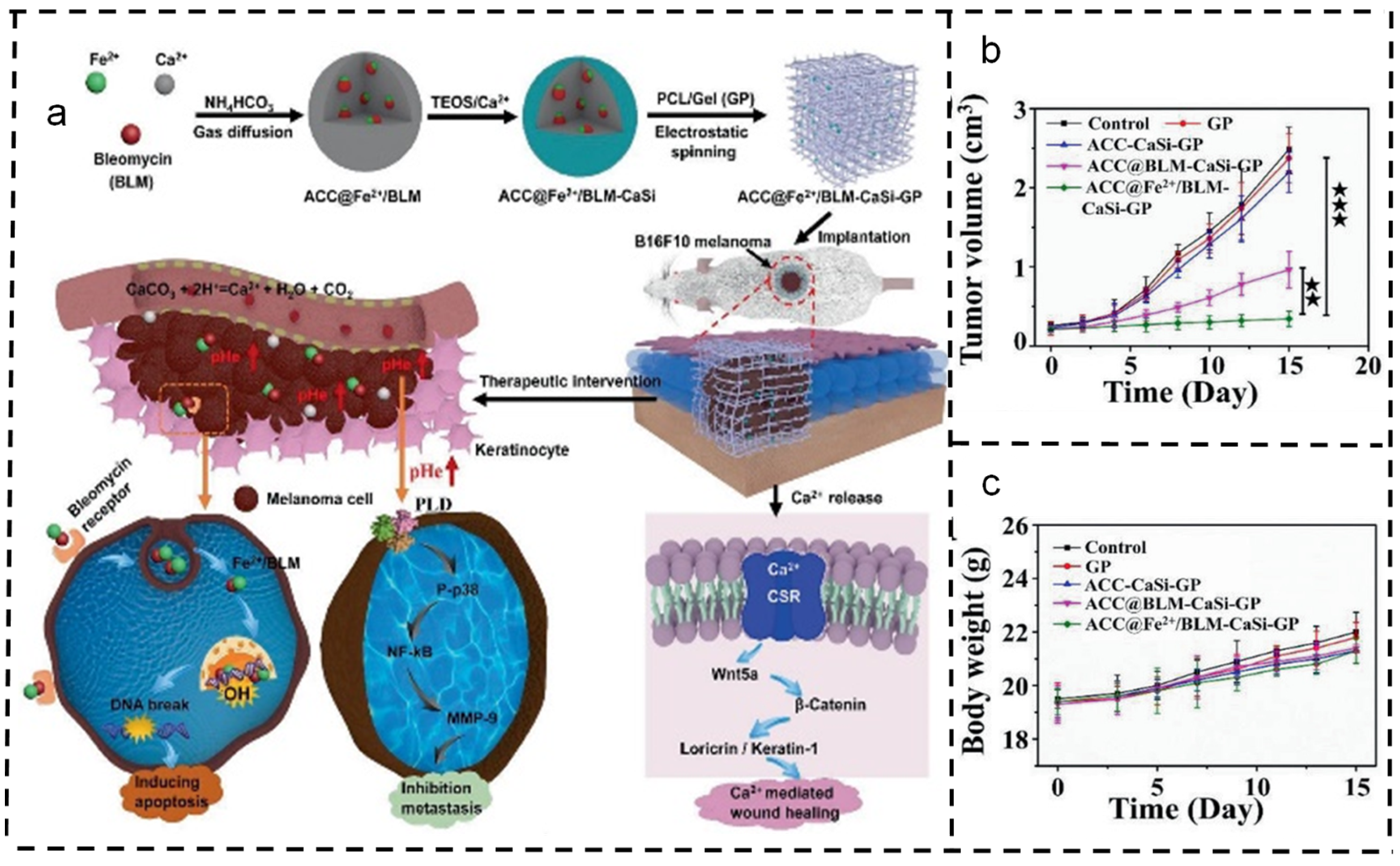 Polymers 16 00504 g006