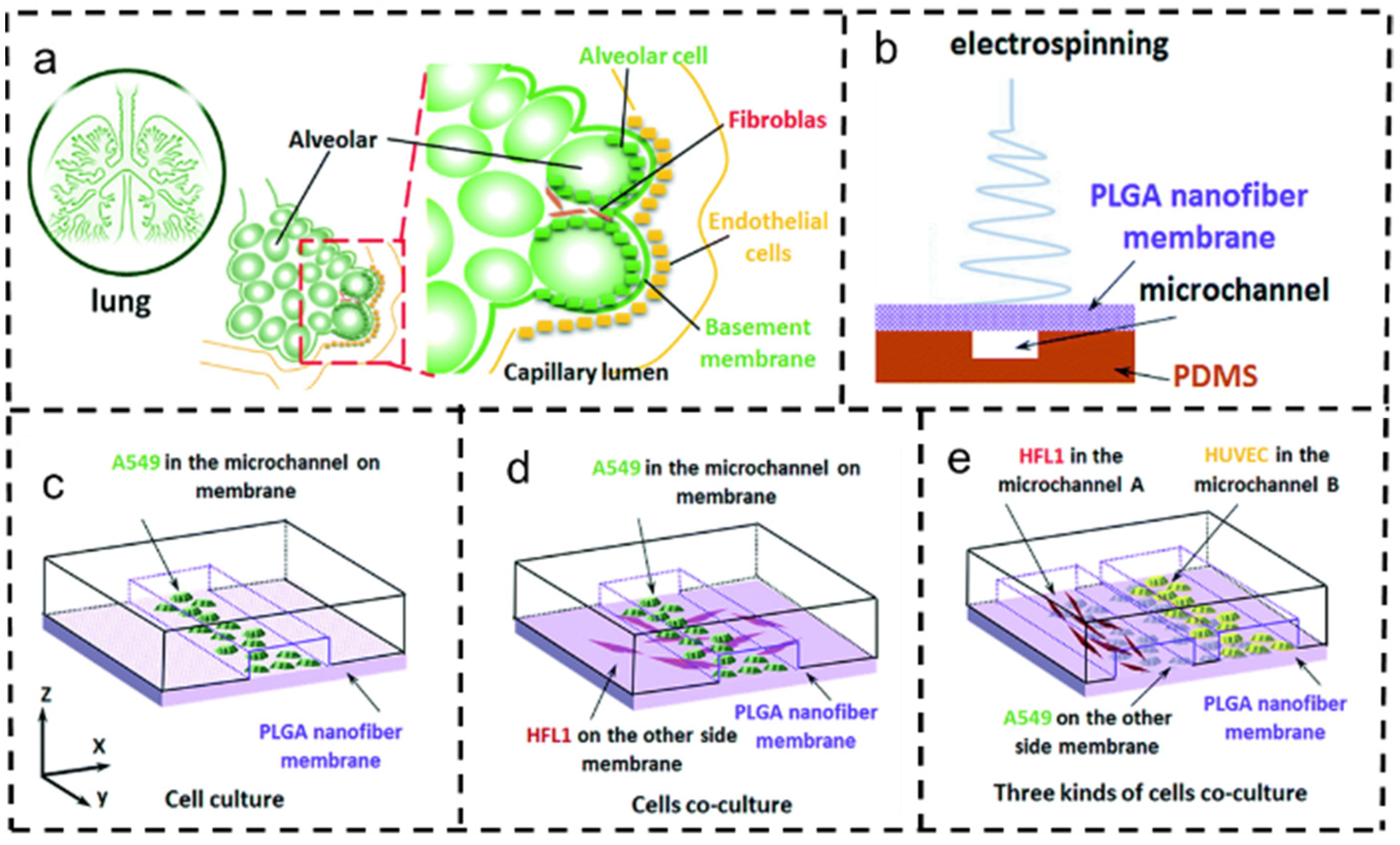 Polymers 16 00504 g009