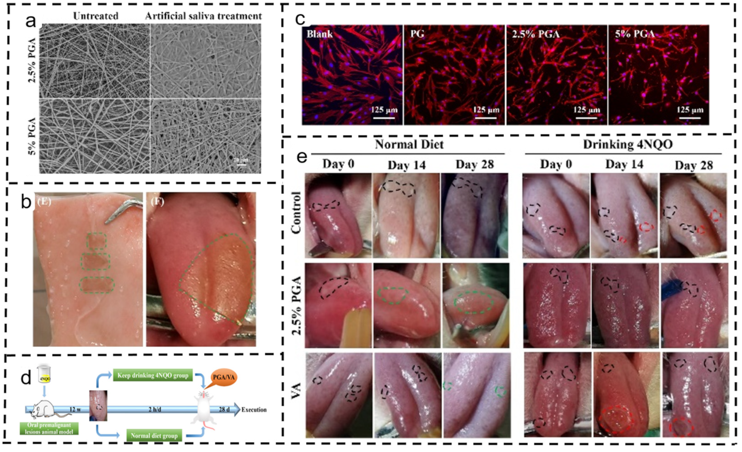 Polymers 16 00504 g010