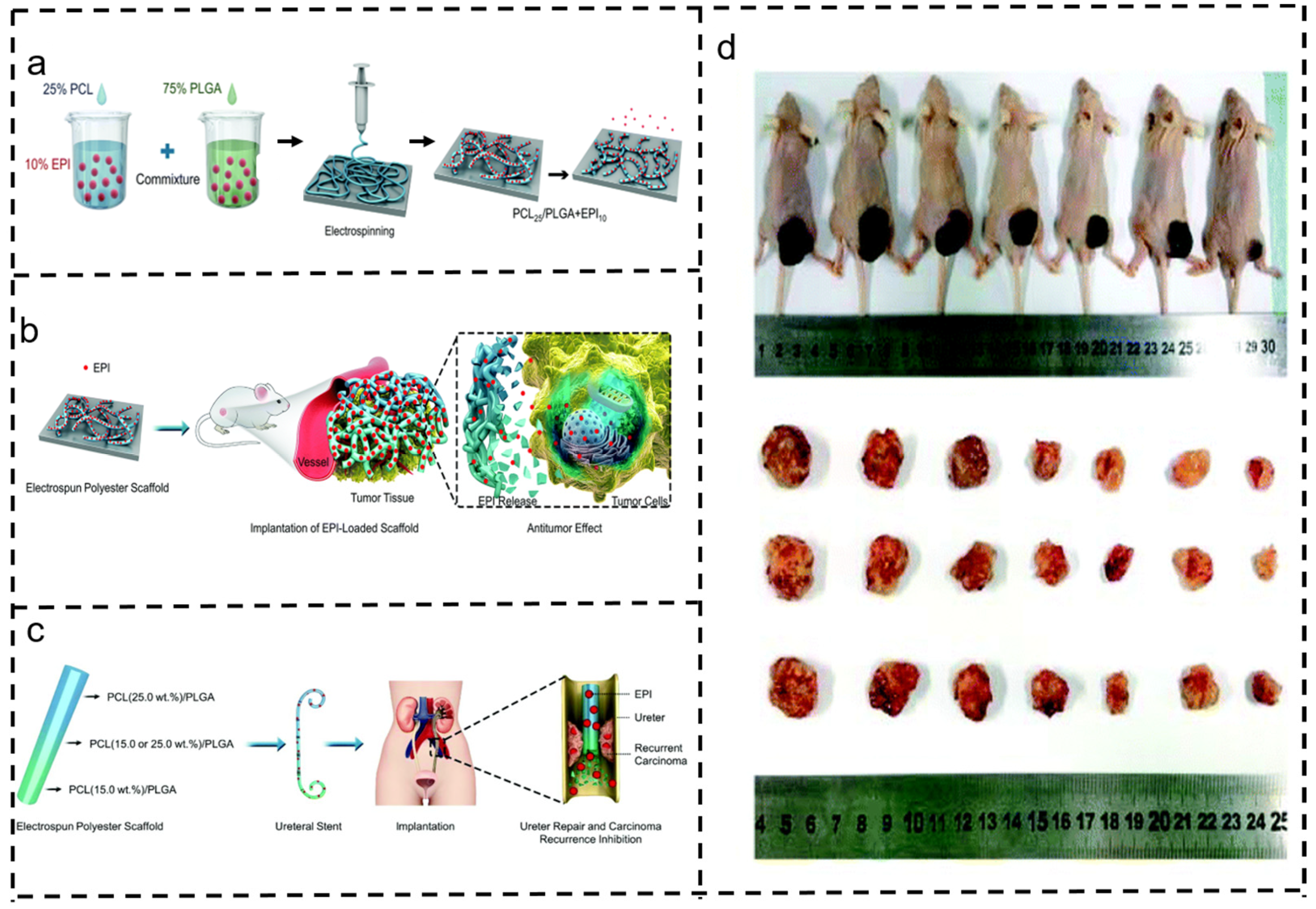 Polymers 16 00504 g011