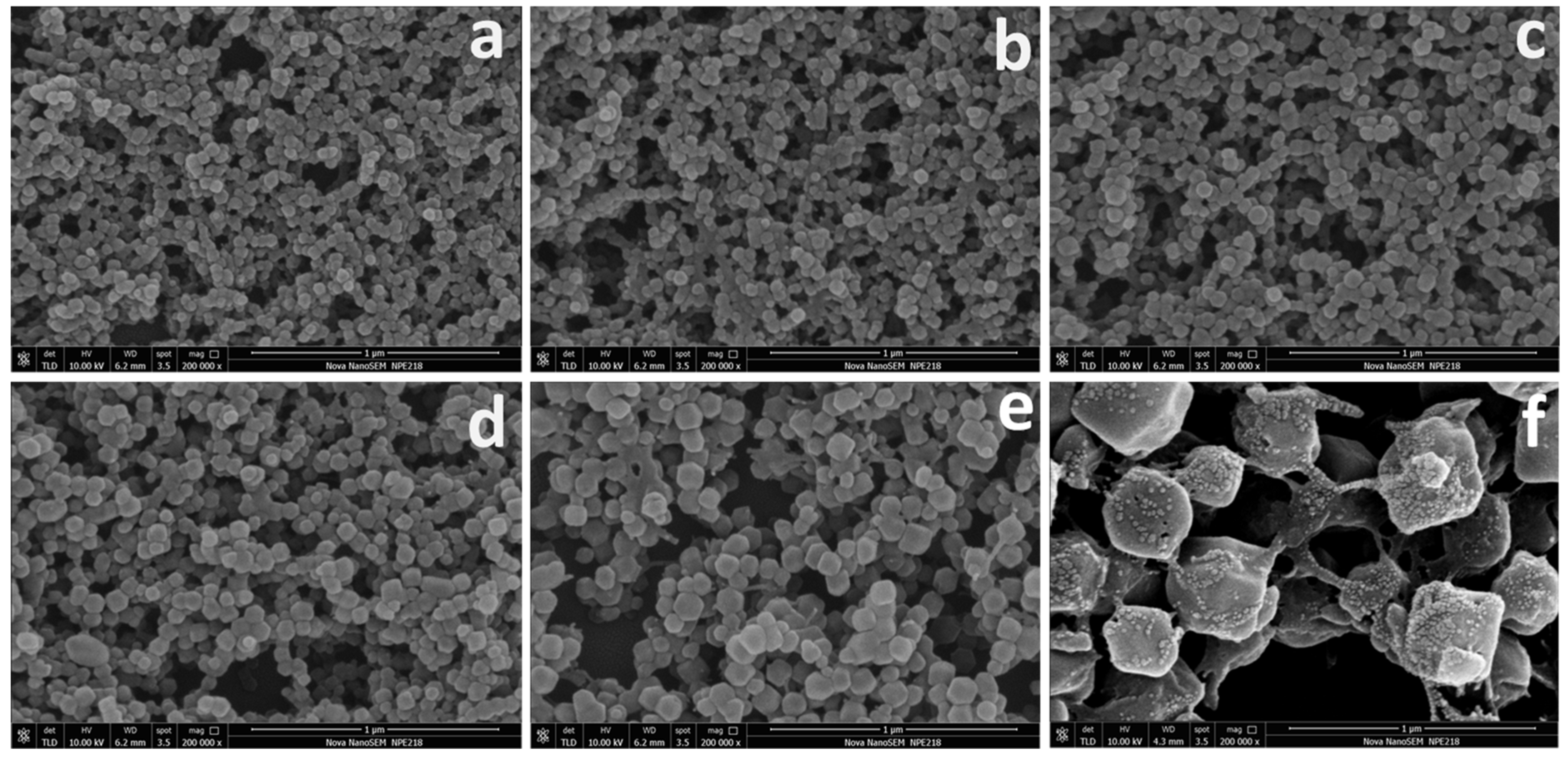 Polymers 16 00505 g002