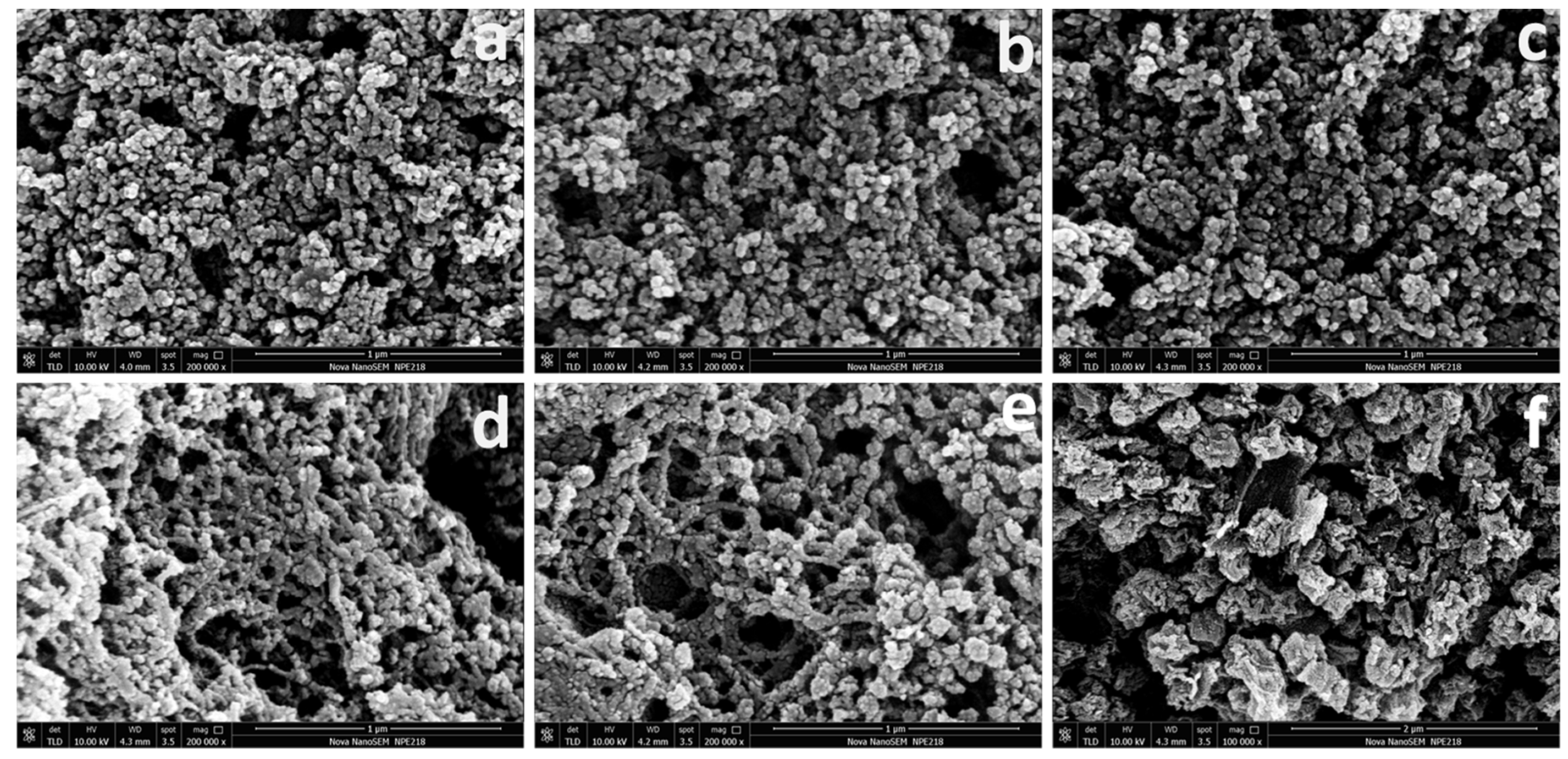 Polymers 16 00505 g004