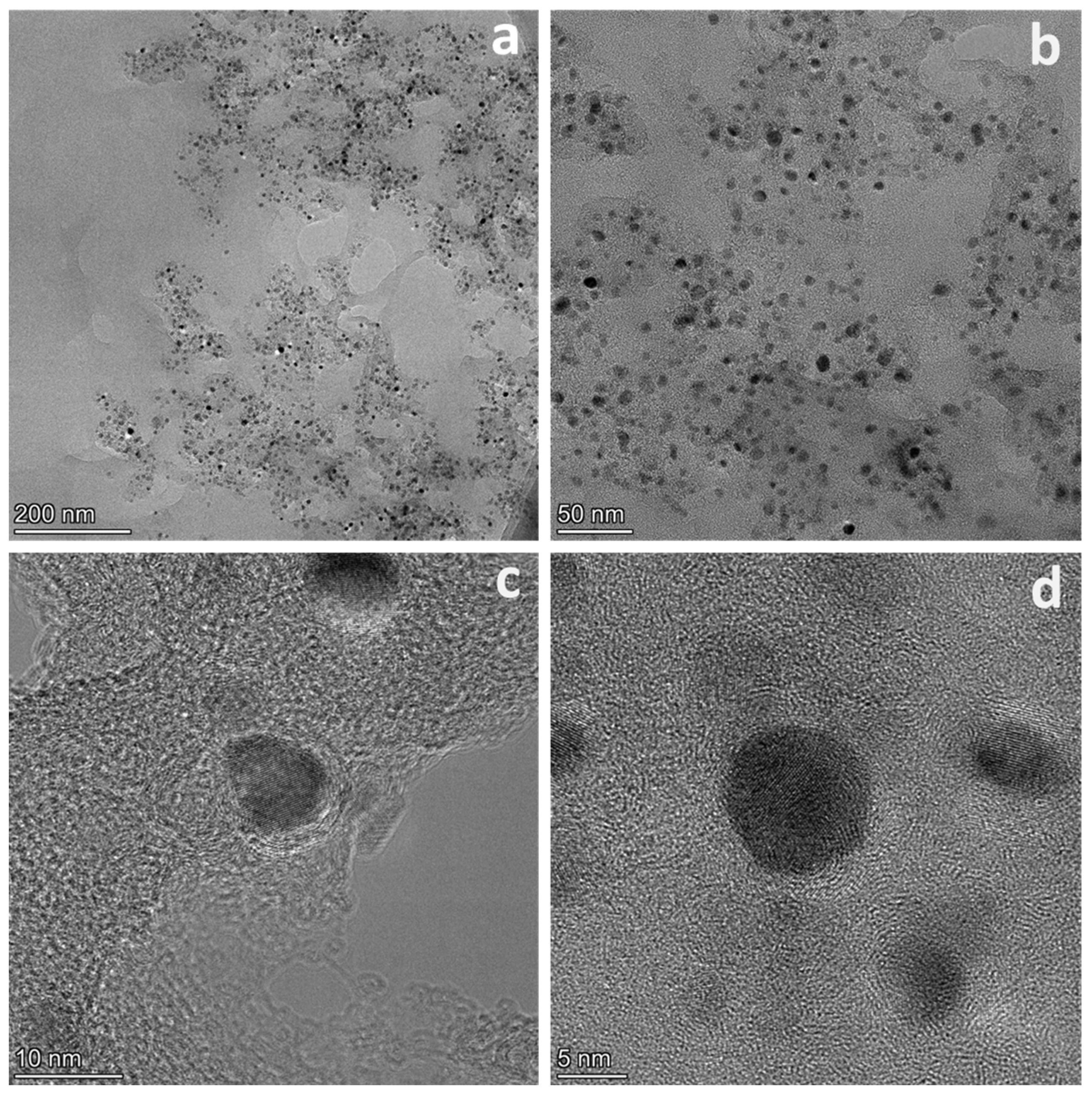 Polymers 16 00505 g005