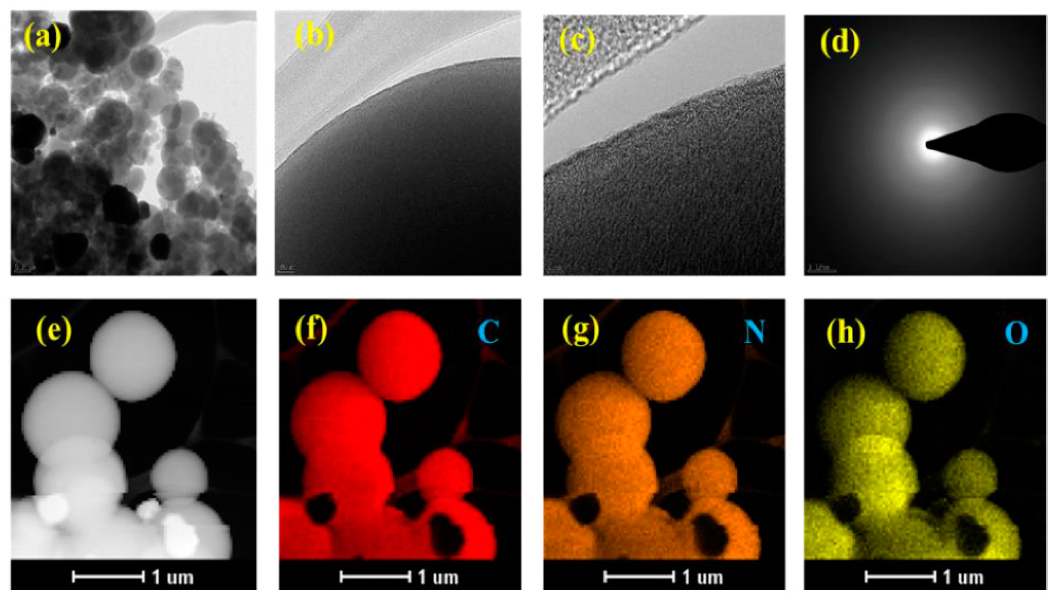 Polymers 16 00516 g004