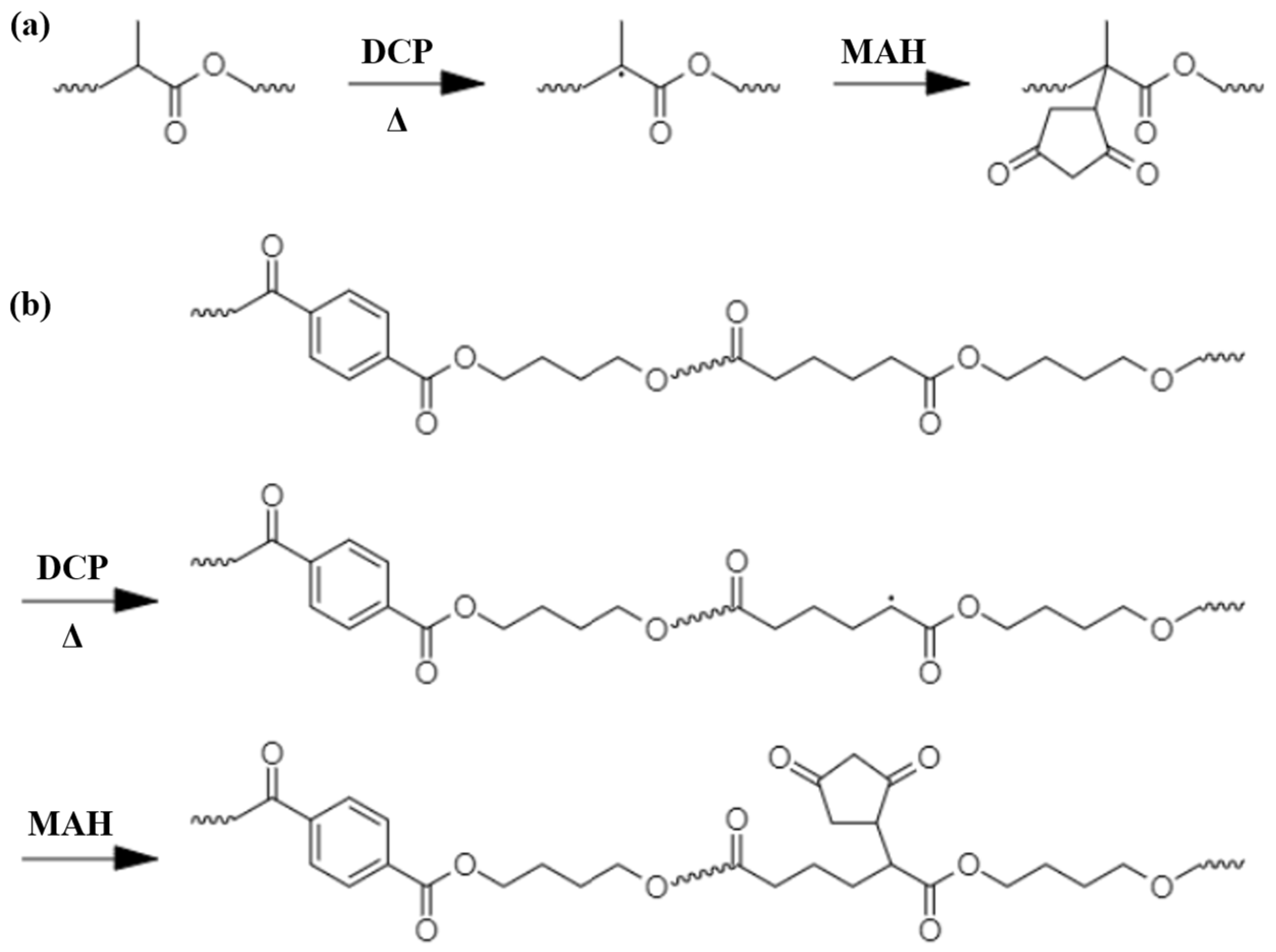 Polymers 16 00518 g002