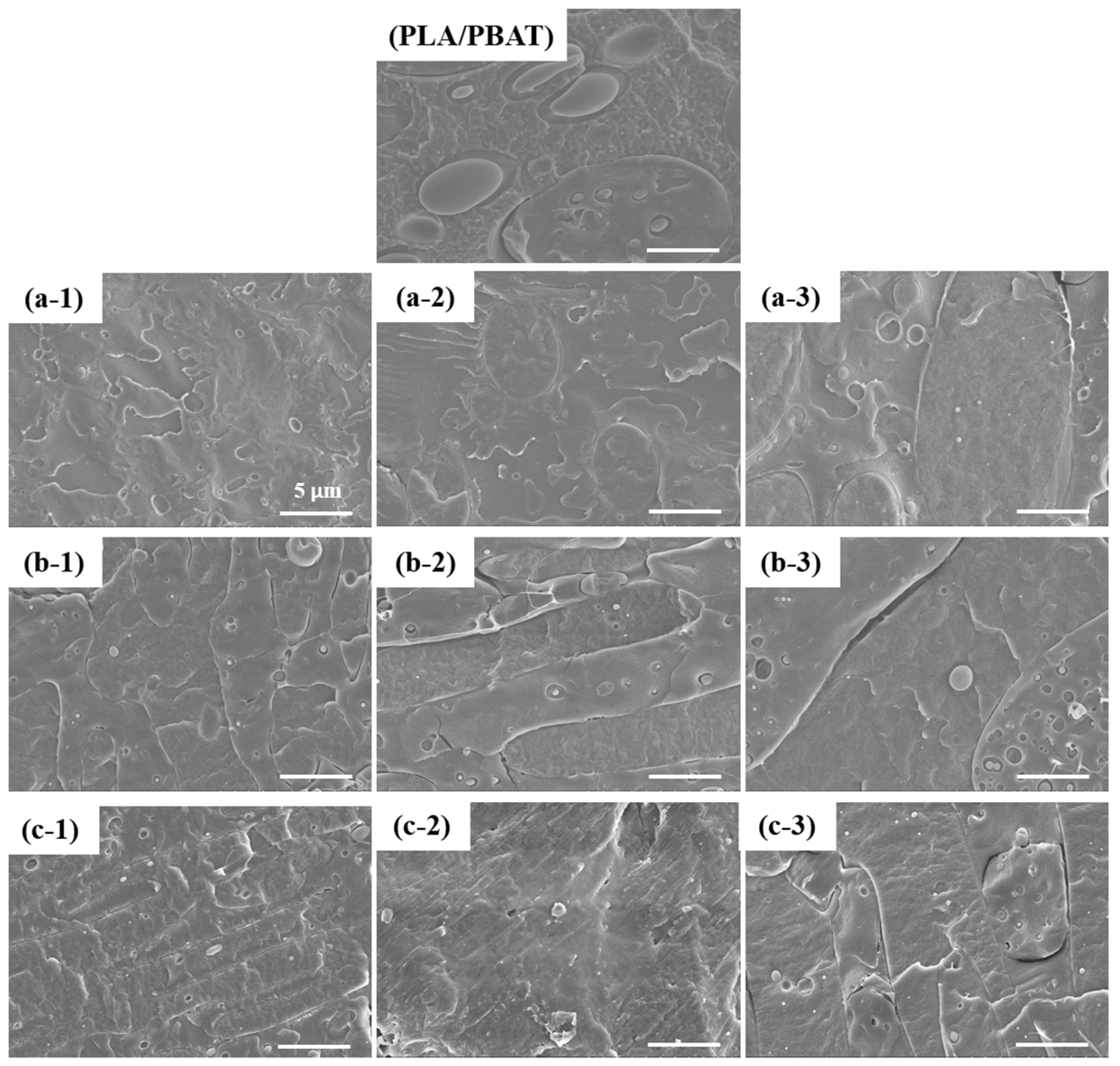 Polymers 16 00518 g005
