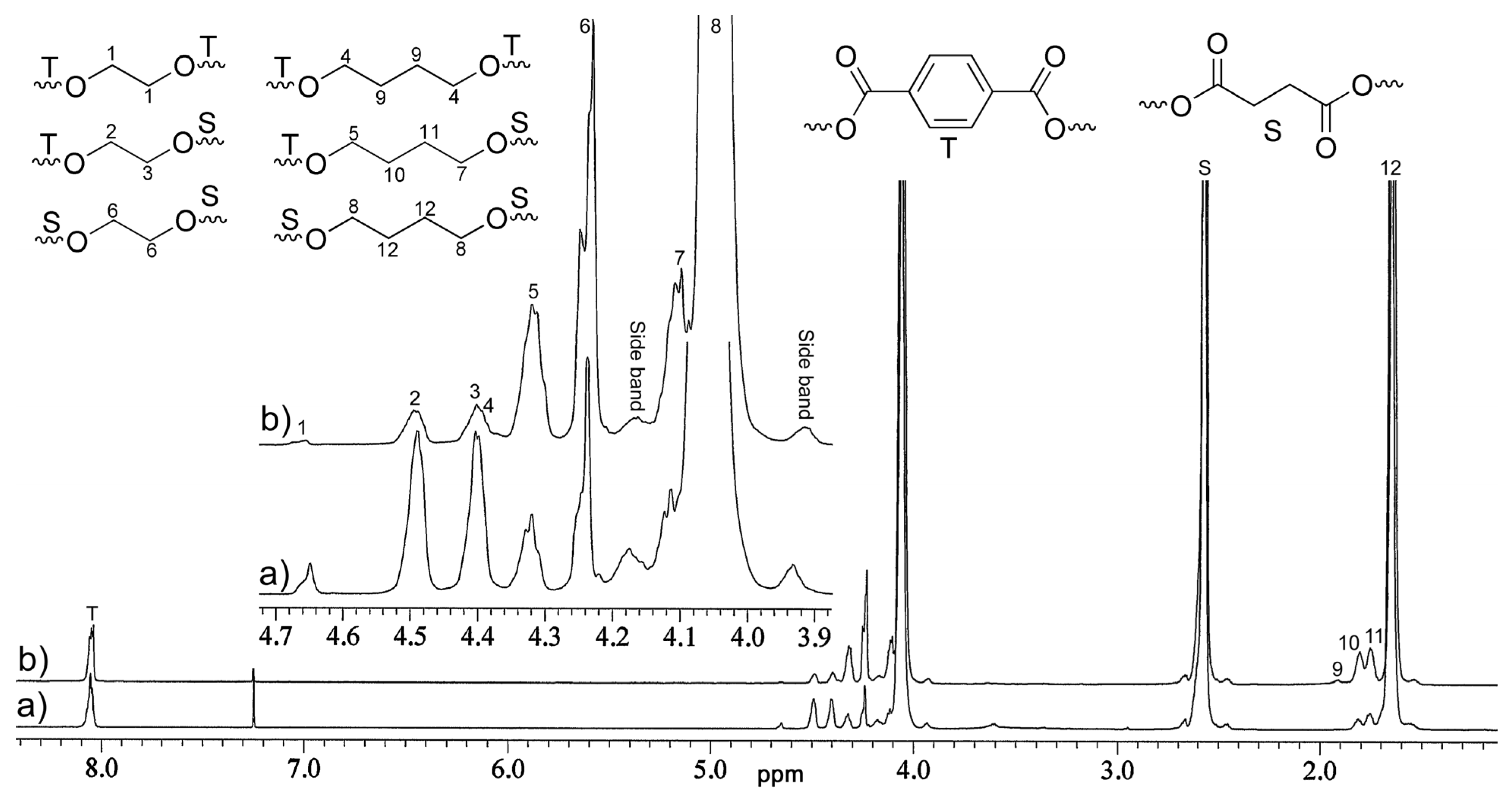 Polymers 16 00519 g002