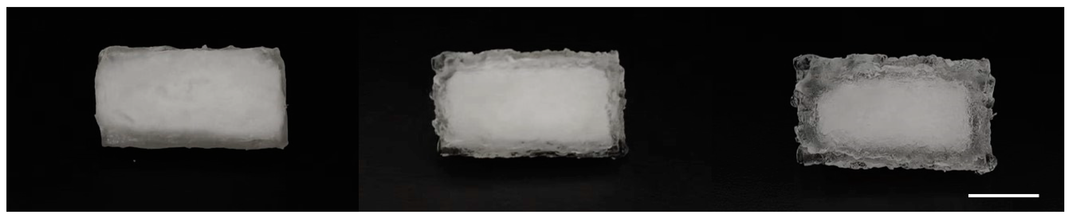 Polymers 16 00525 g001