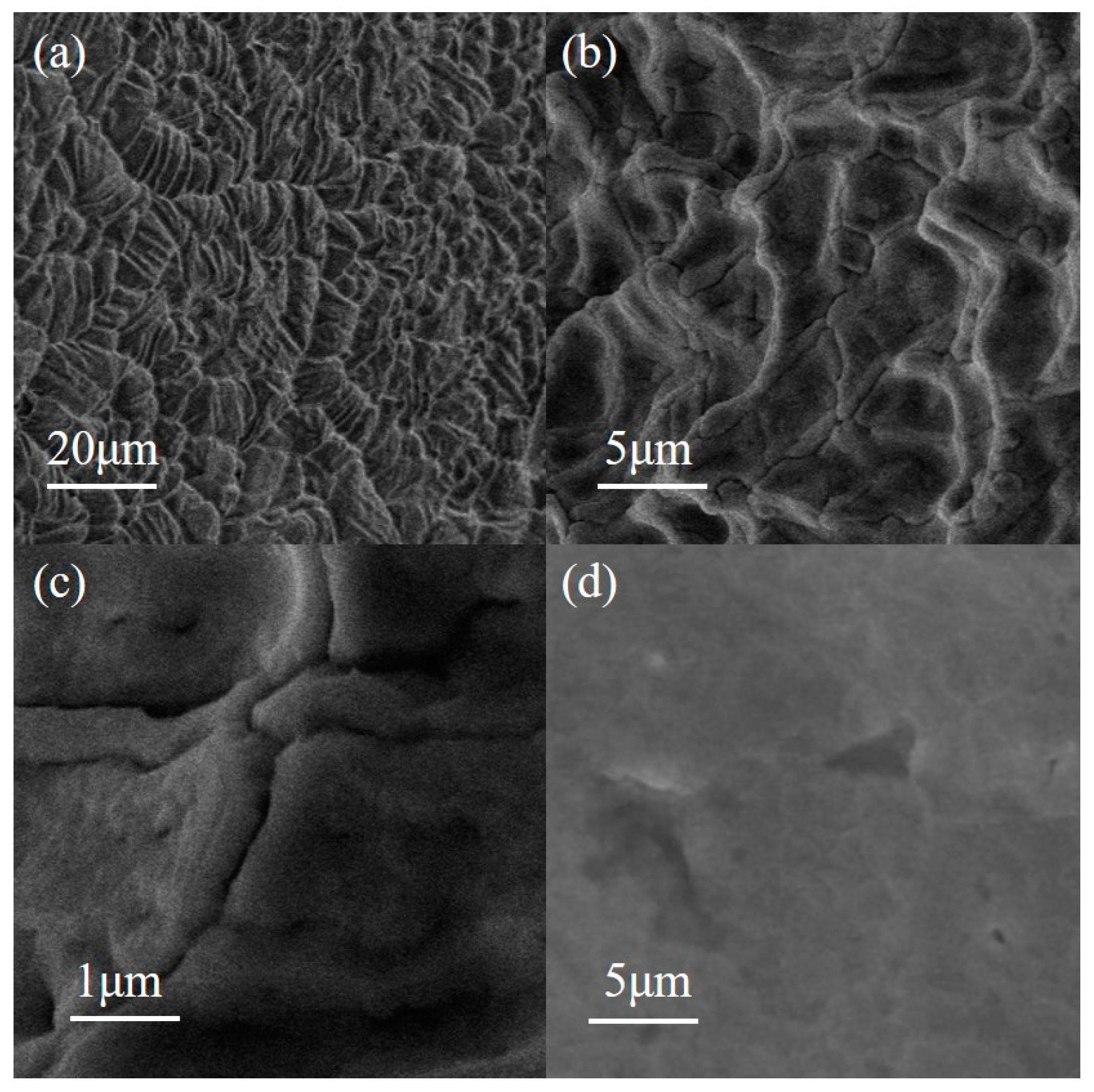 Polymers 16 00525 g002