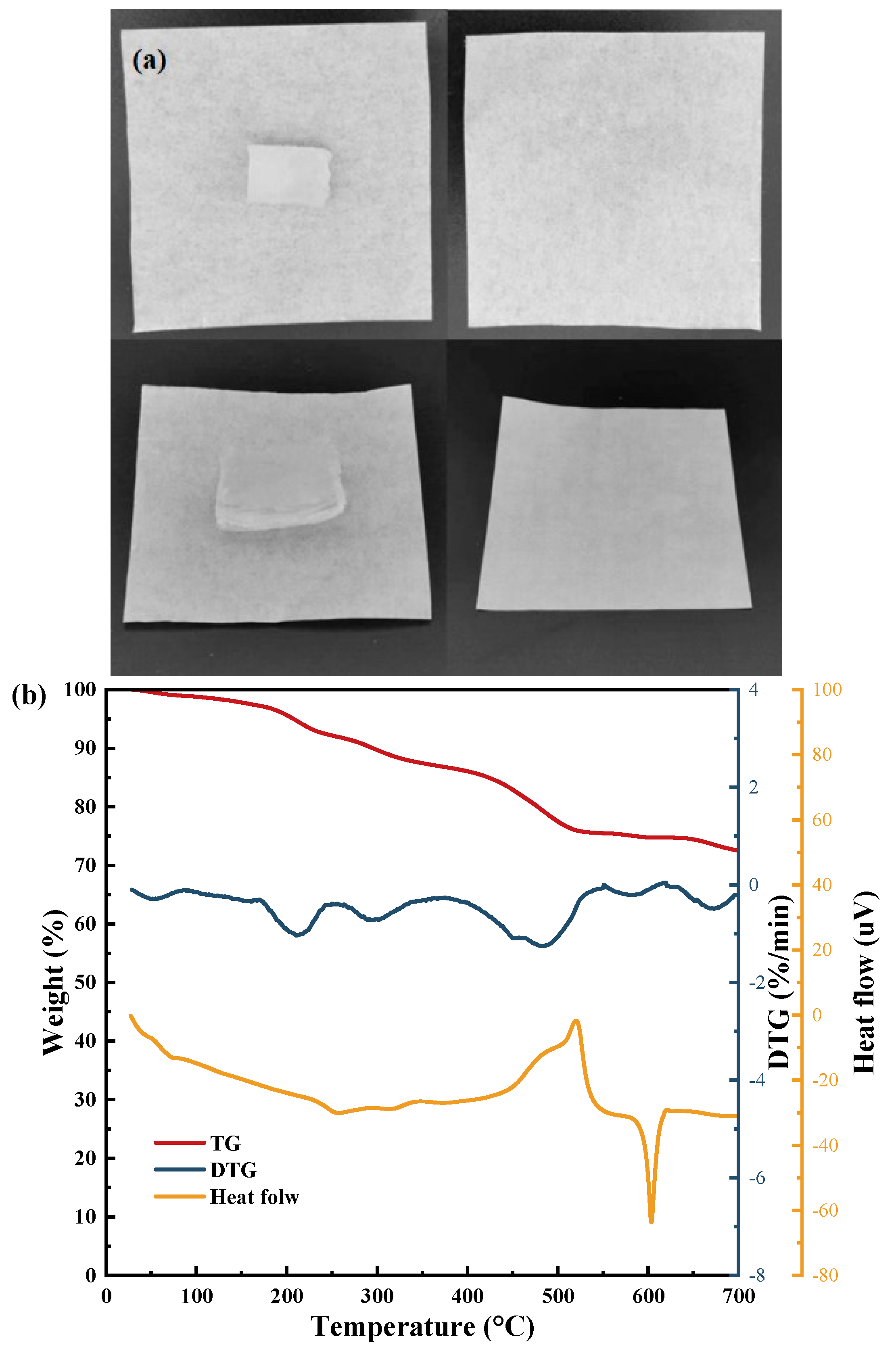 Polymers 16 00525 g008