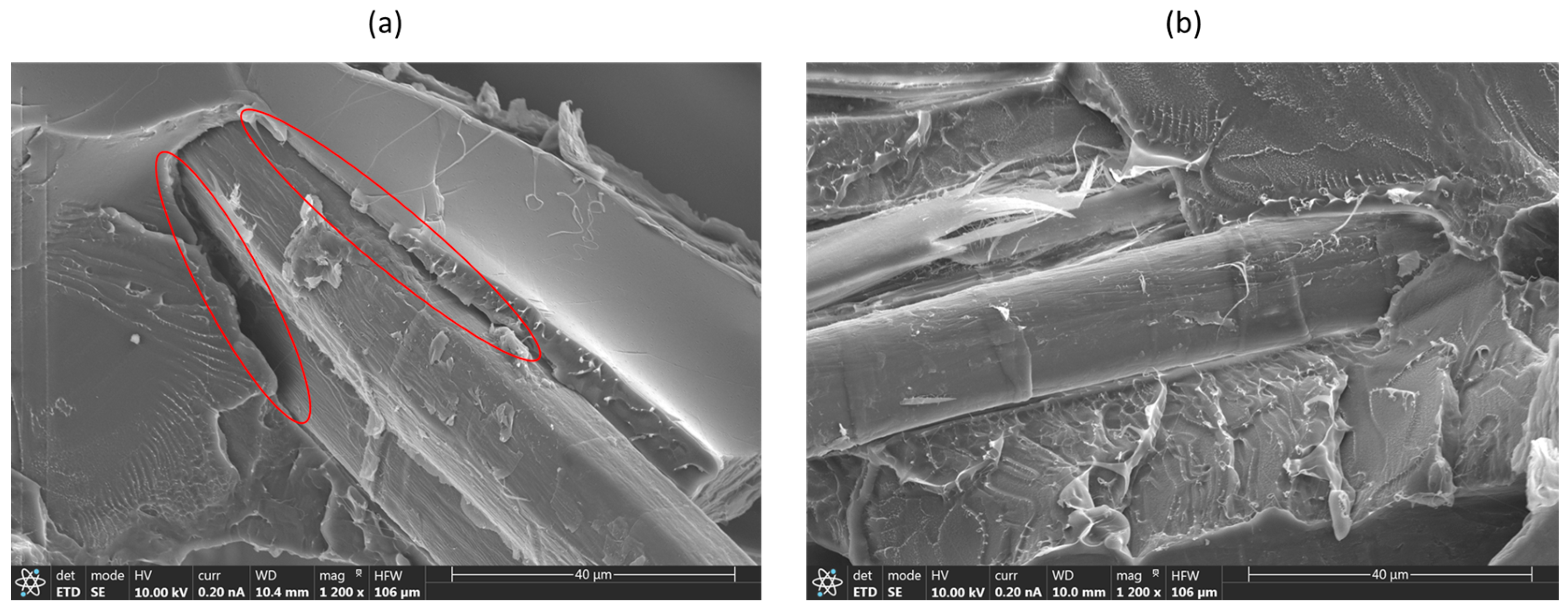 Polymers 16 00528 g009