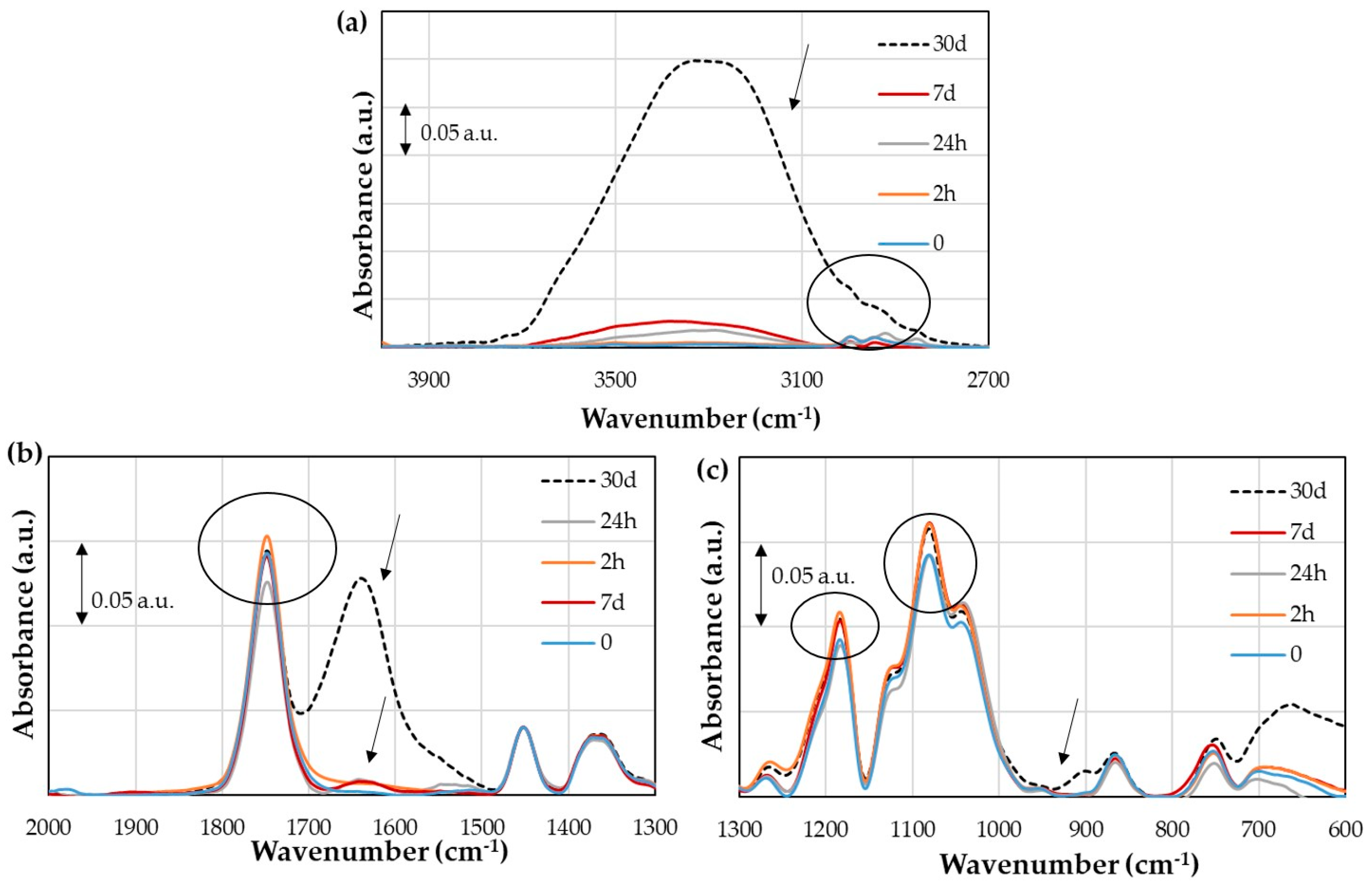 Polymers 16 00528 g012