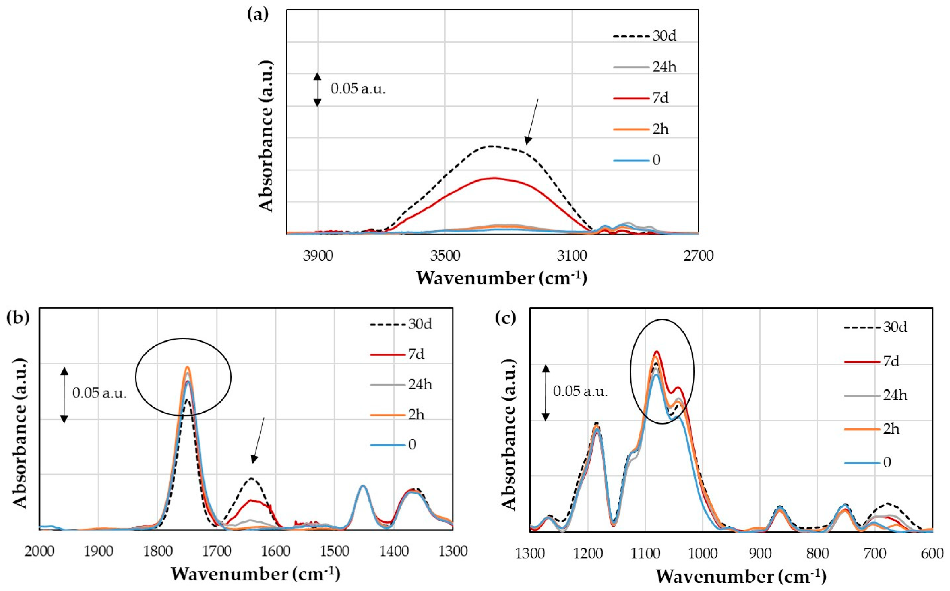 Polymers 16 00528 g013