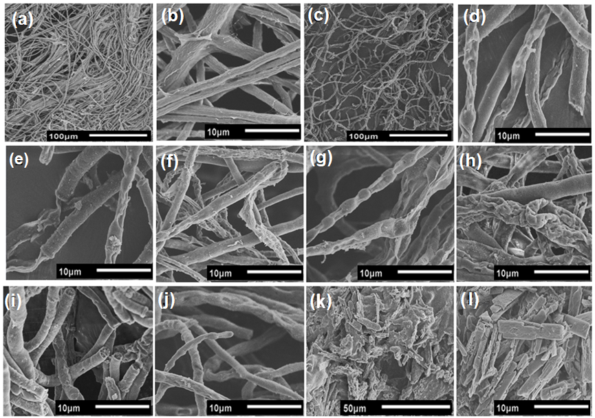 Polymers 16 00529 g007 Polymers 16 00529 g007