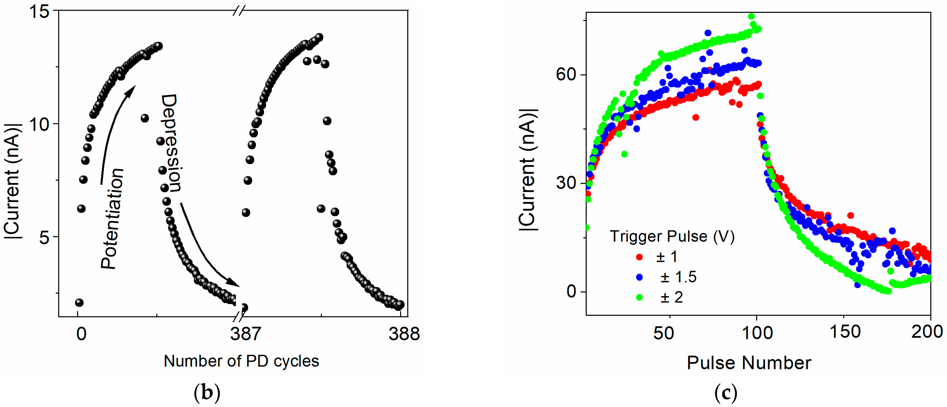 Polymers 16 00542 g006b