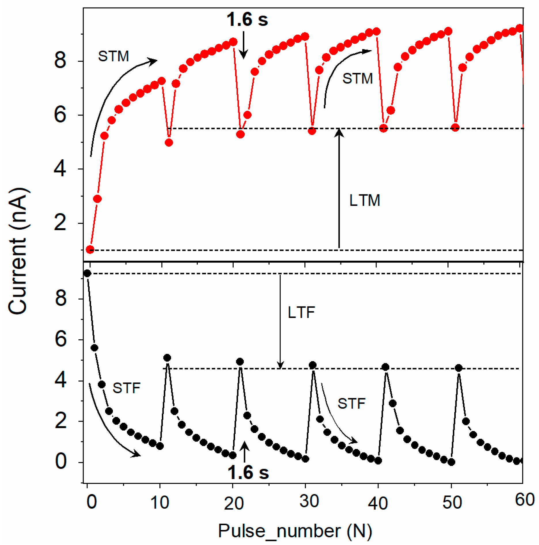 Polymers 16 00542 g007