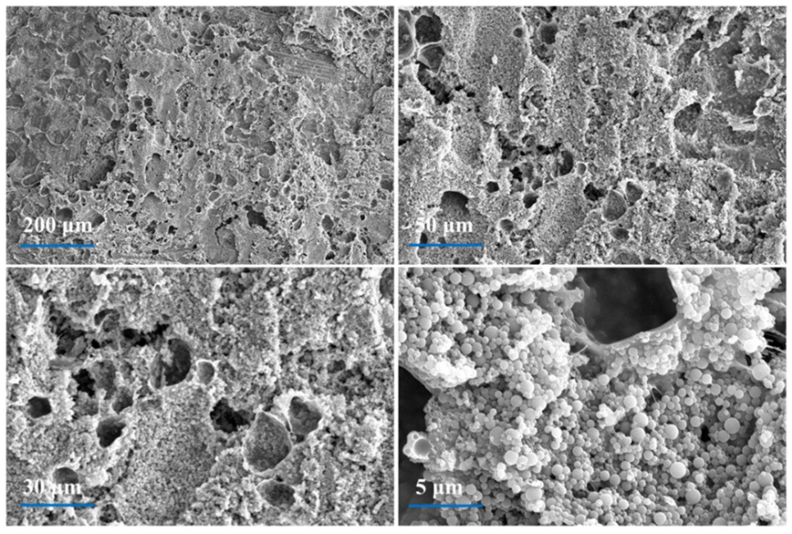 Polymers 16 00544 g008
