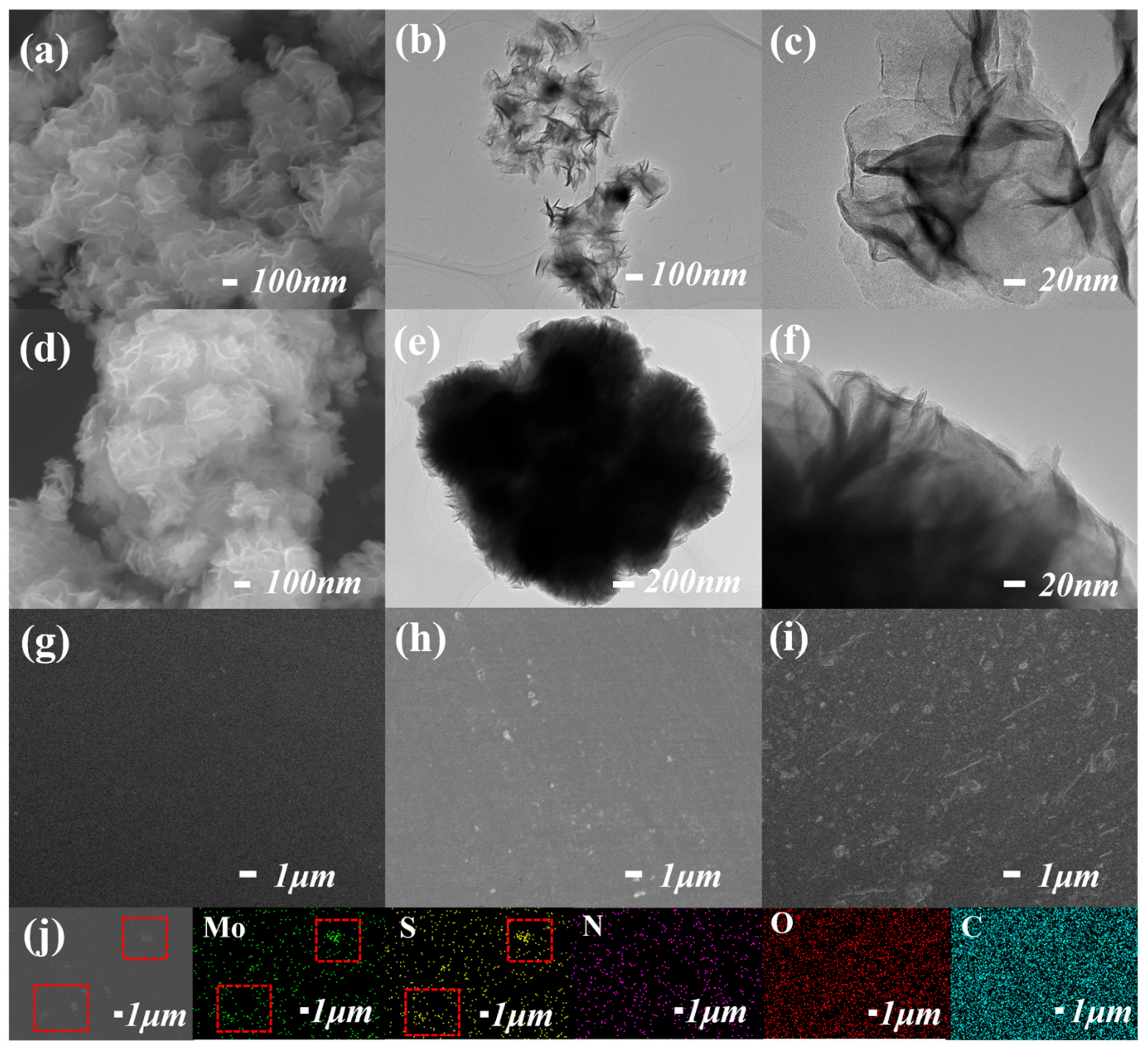 Polymers 16 00546 g002