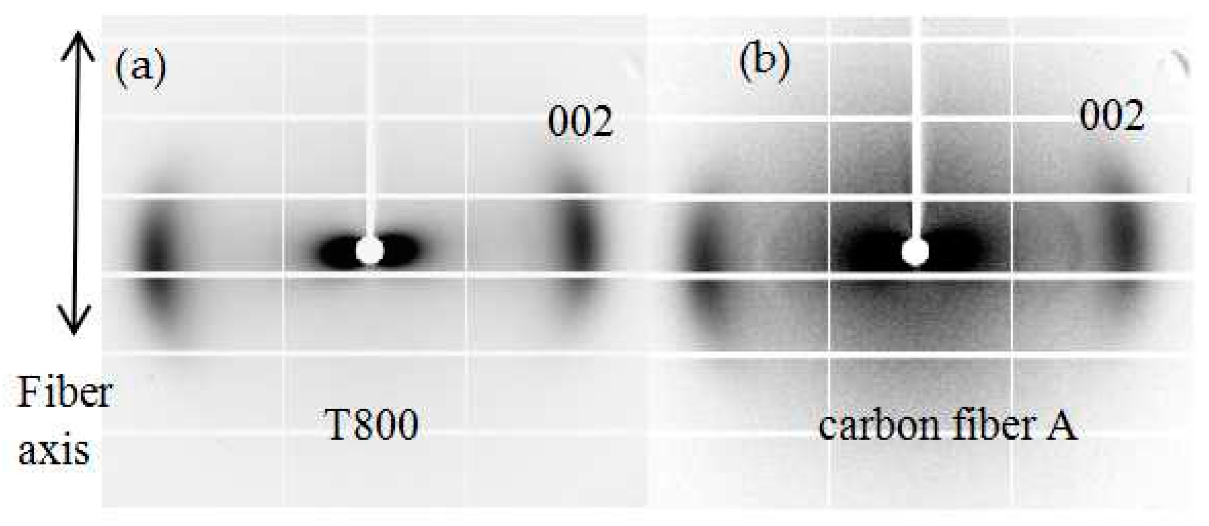 Polymers 16 00547 g005