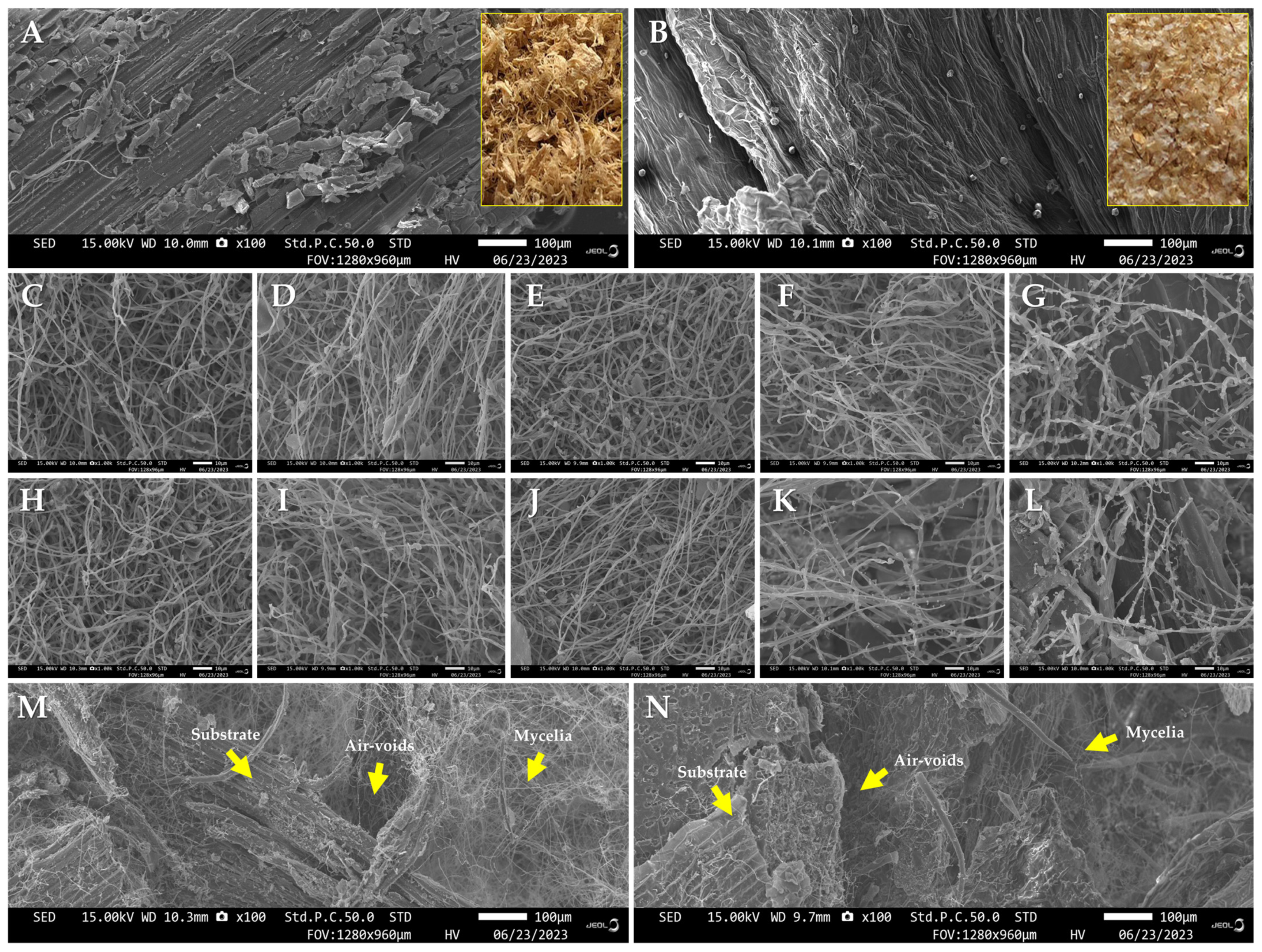 Polymers 16 00550 g006 Polymers 16 00550 g006
