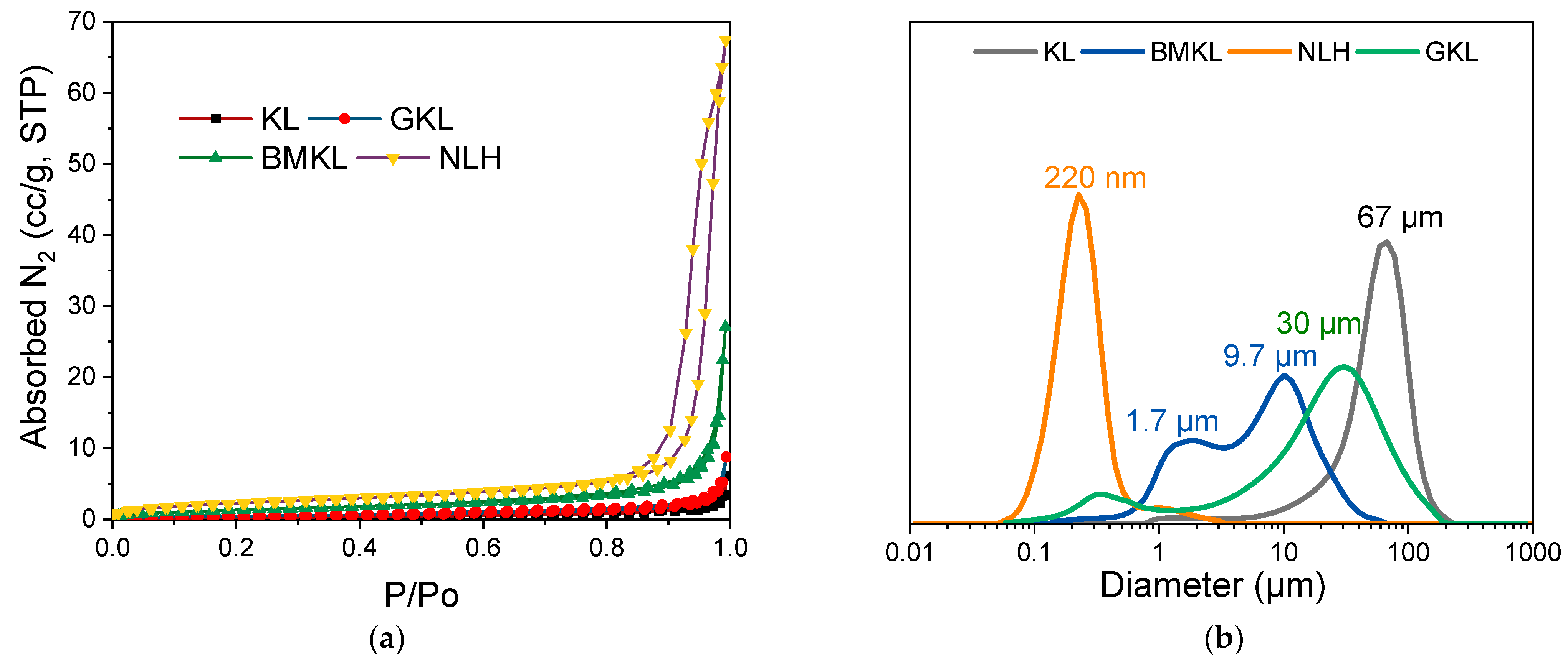 Polymers 16 00553 g002