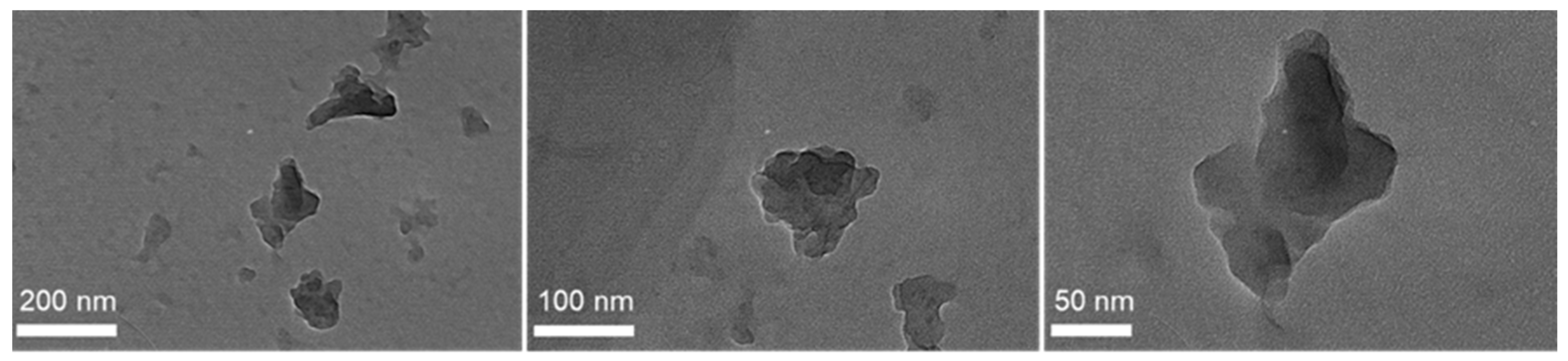 Polymers 16 00553 g004