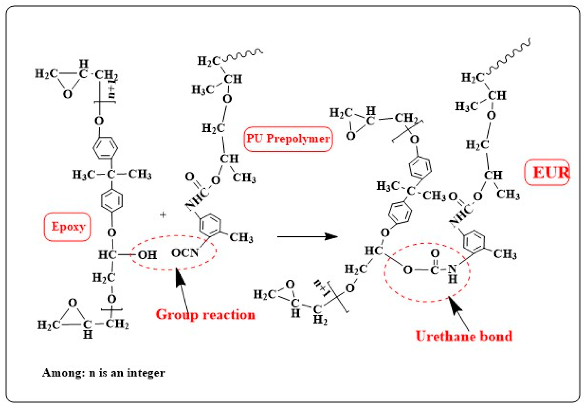 Polymers 16 00558 g001
