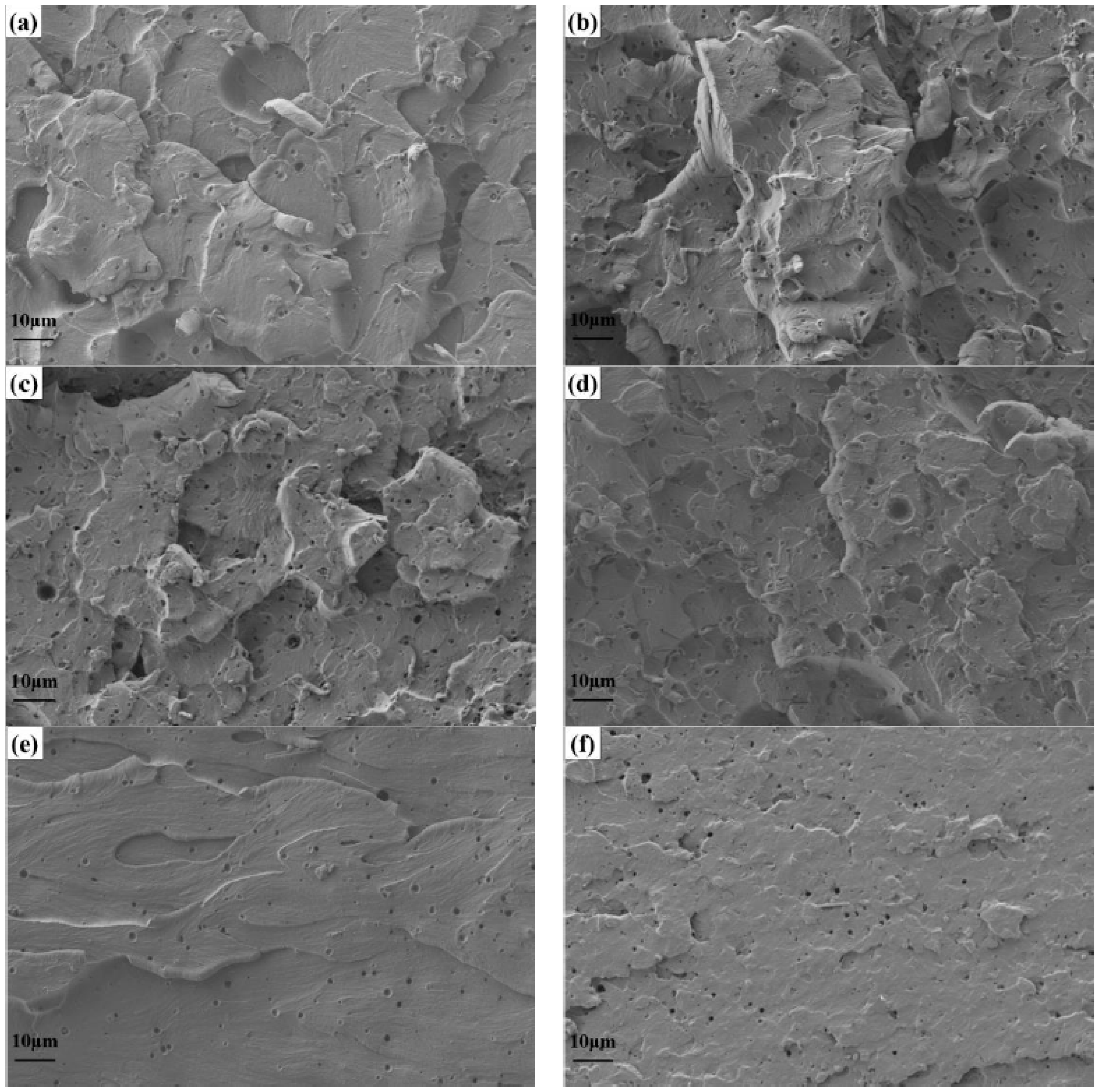 Polymers 16 00558 g007