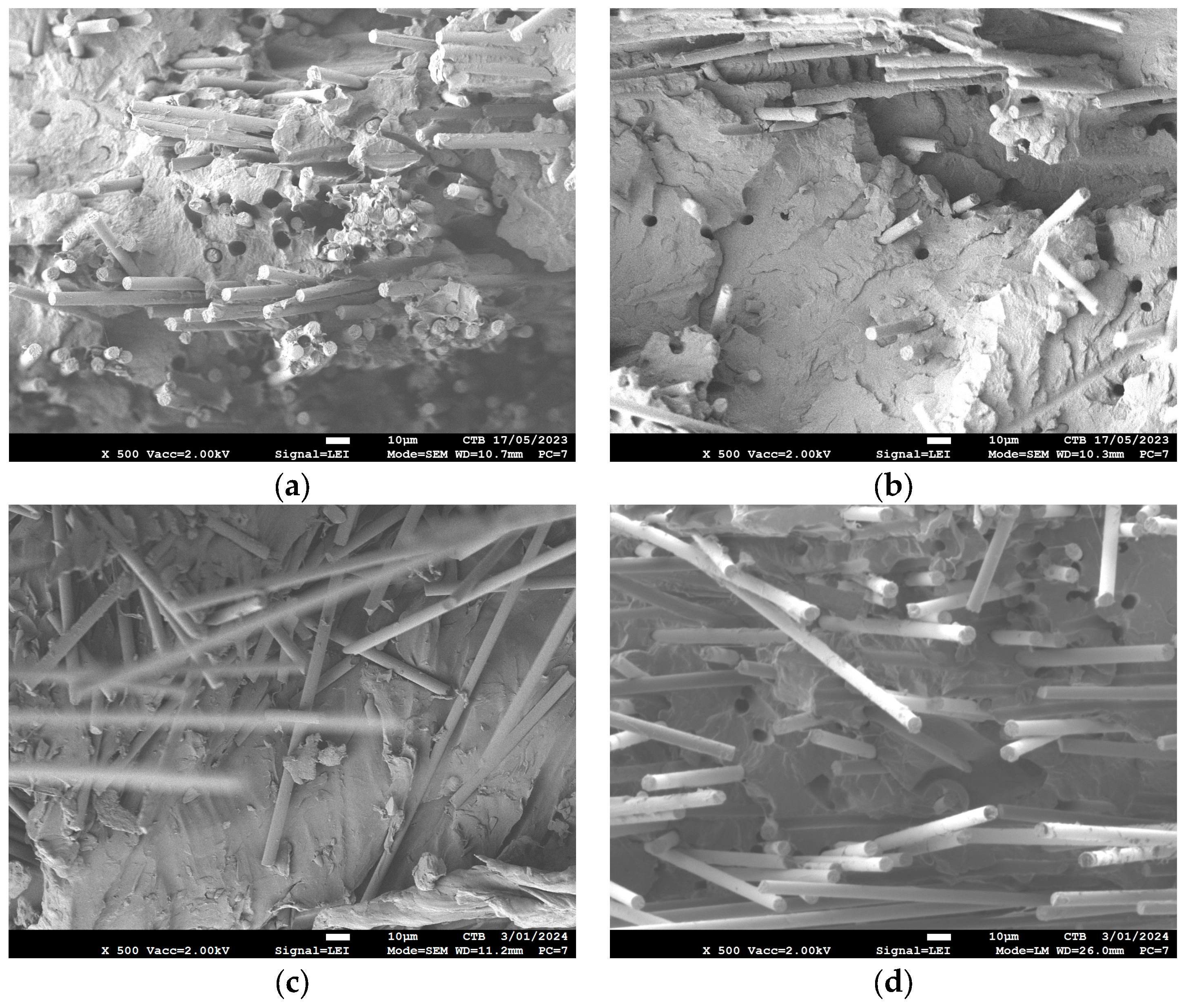 Polymers 16 00561 g007 Polymers 16 00561 g007