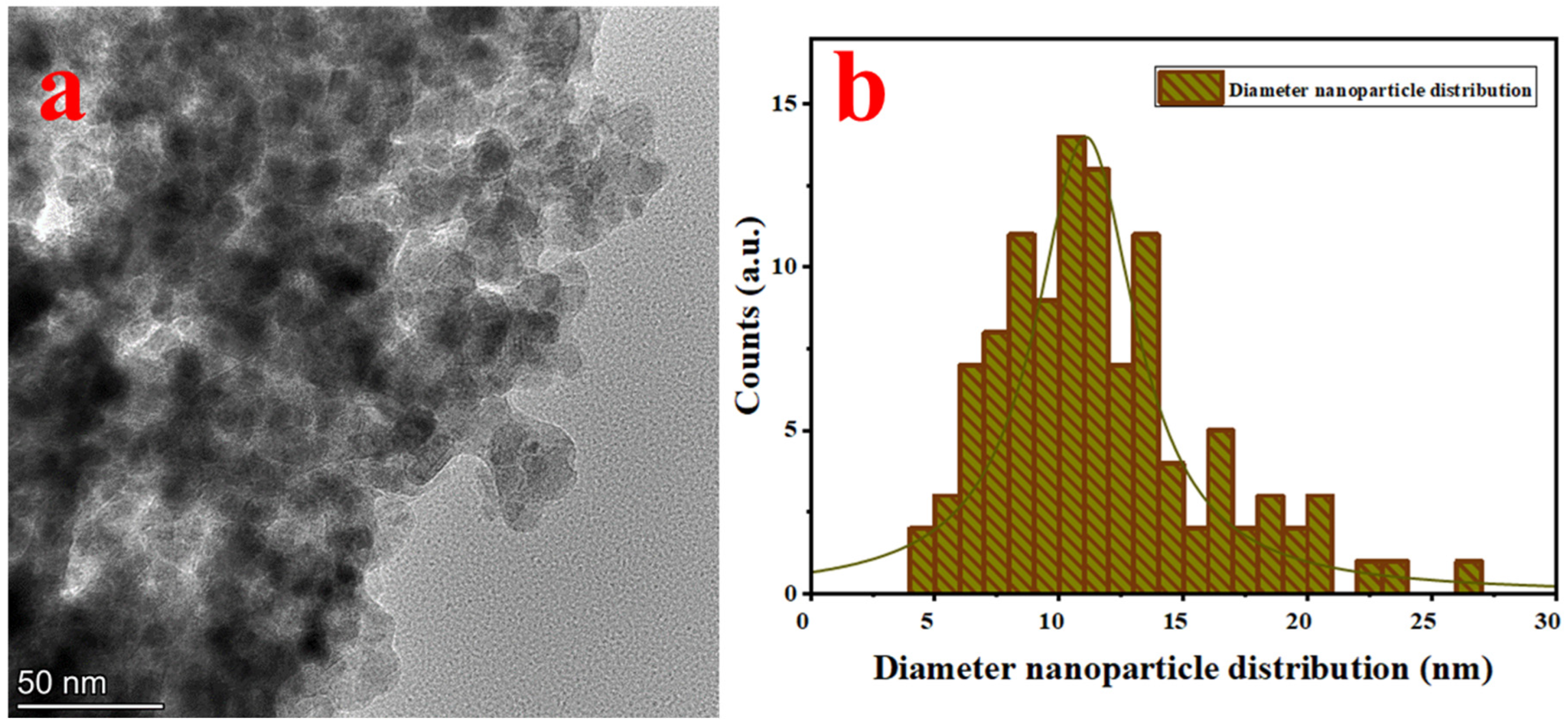 Polymers 16 00564 g002