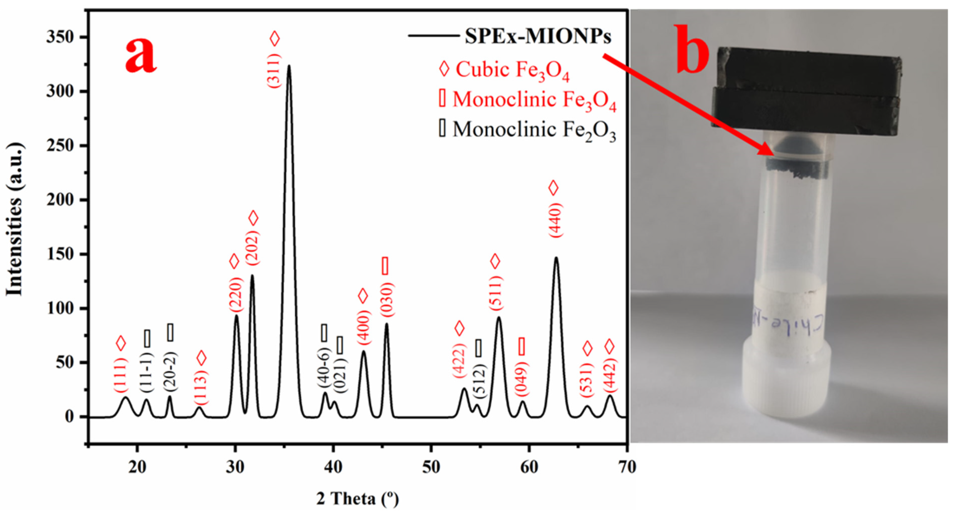 Polymers 16 00564 g004